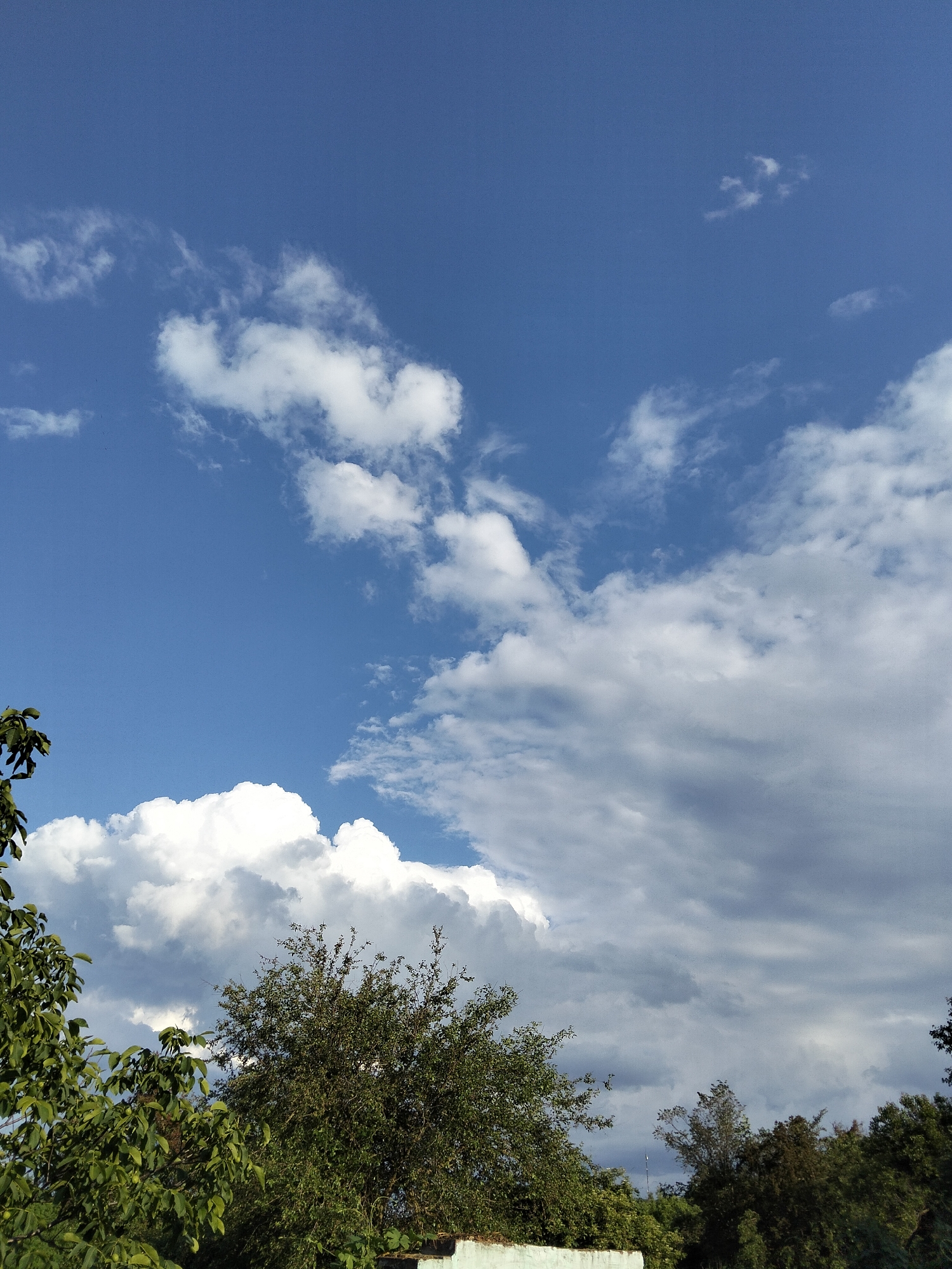 This media file is a vertical, full-frame photograph of a bright blue sky filled with various types of clouds, set against a backdrop of green trees and vegetation. The sky occupies the majority of the frame, displaying a range of cloud formations from wispy, scattered cumulus clouds near the top to larger, more dense, and darker cumulus clouds towards the bottom. The sunlight is strong, casting bright illumination on the white portions of the clouds, while the lower parts of the larger clouds are cast in shadow, suggesting varying depths and atmospheric conditions.
In the foreground, the tops of lush green trees are visible, with dense foliage and some branches extending into the frame. The leaves are vibrantly green, indicating a period of growth. The trees are positioned across the bottom of the image, with some appearing closer to the viewer than others. A hint of a light-colored structure, possibly a wall, is visible at the very bottom left of the frame, partially obscured by the trees.
The scene evokes a sense of a clear, possibly late morning or early afternoon, with fair weather characterized by a mix of sunny periods and cloud cover. The location is identified as Ustyvytsia, Ukraine. No people or specific objects are prominently featured, and there is no visible text in the image. The overall mood is serene and natural, dominated by the interplay of light and shadow on the sky and foliage.