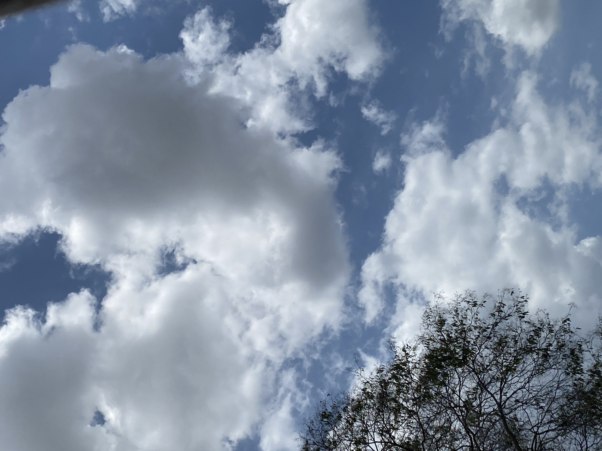 The image depicts a view looking up at a partly cloudy sky with a tree in the lower right corner. The sky is blue with patches of white and gray clouds. The tree has thin branches and sparse green leaves. The location is likely in Tinaquillo, Venezuela, based on the prompt. The image captures an outdoor environment on a day with scattered clouds and foliage.