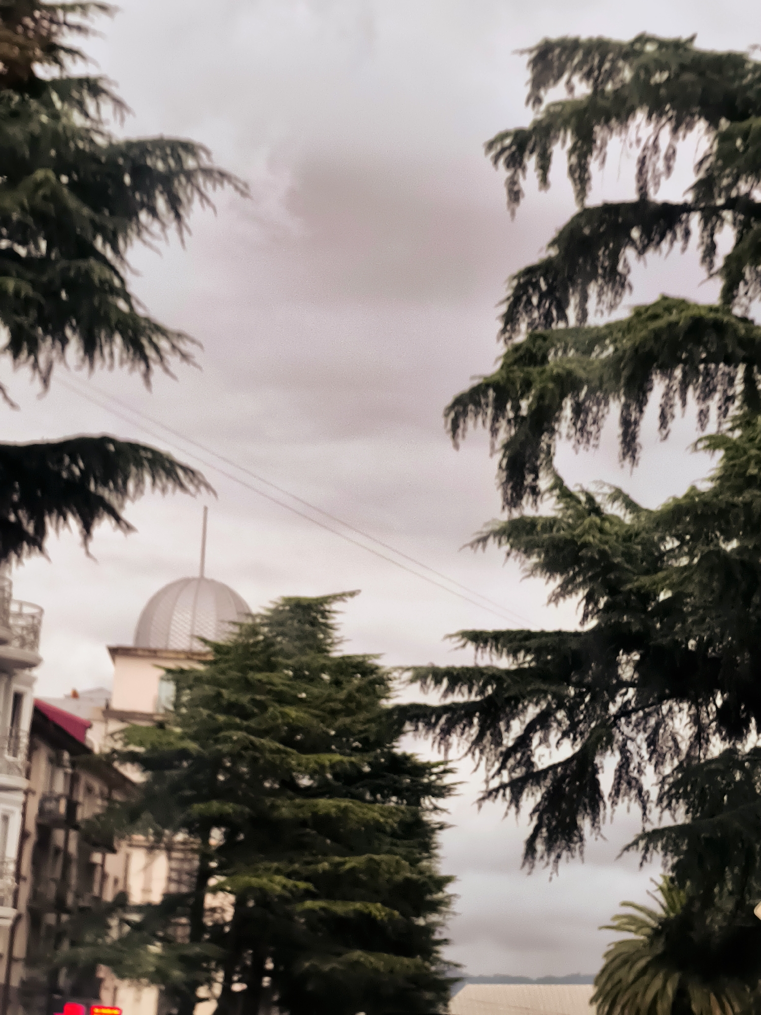 The image captures a view framed by the dark green branches of coniferous trees, likely cedars, against a cloudy, pale grey sky. In the mid-ground, a building with a distinctive domed roof, reminiscent of a classical or Soviet-era architectural style, is visible. To the left of the dome, a portion of a multi-story building with balconies and arched windows can be seen, suggesting an urban setting. The overall scene appears to be a streetscape in Batumi, Georgia, potentially from the late afternoon or a heavily overcast day, given the subdued lighting. No people are discernible in the frame.