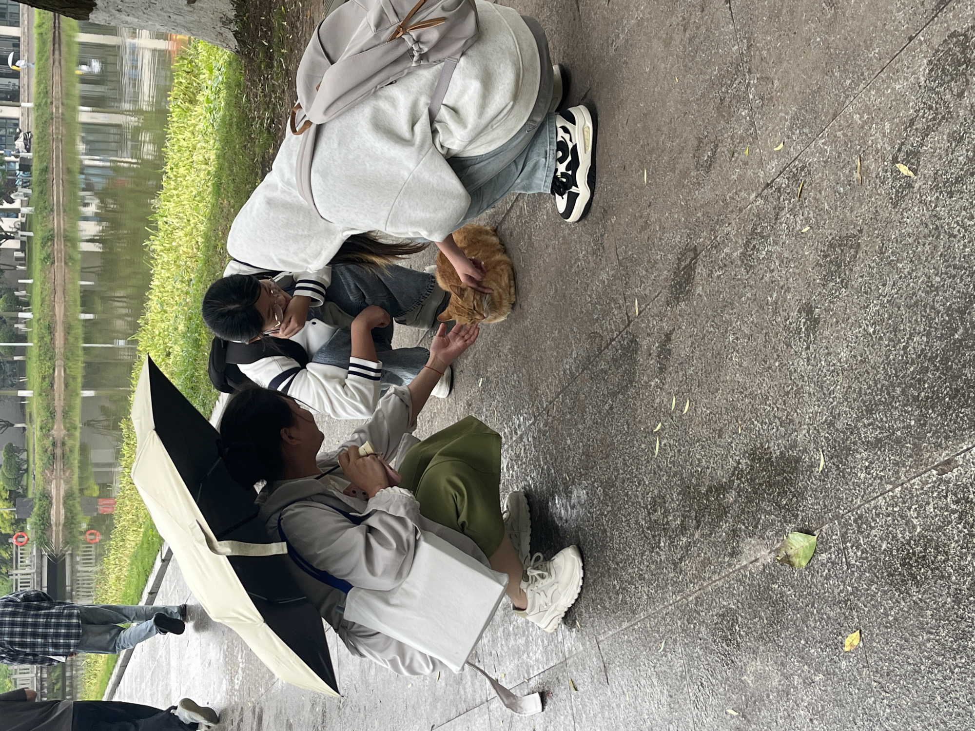 The image depicts a scene alongside a body of water, possibly a pond or lake, in Jiangjin, China. Two individuals, one holding an umbrella, are interacting with a ginger cat. One person is crouching and petting the cat. The pavement is wet. There are trees and buildings in the background.