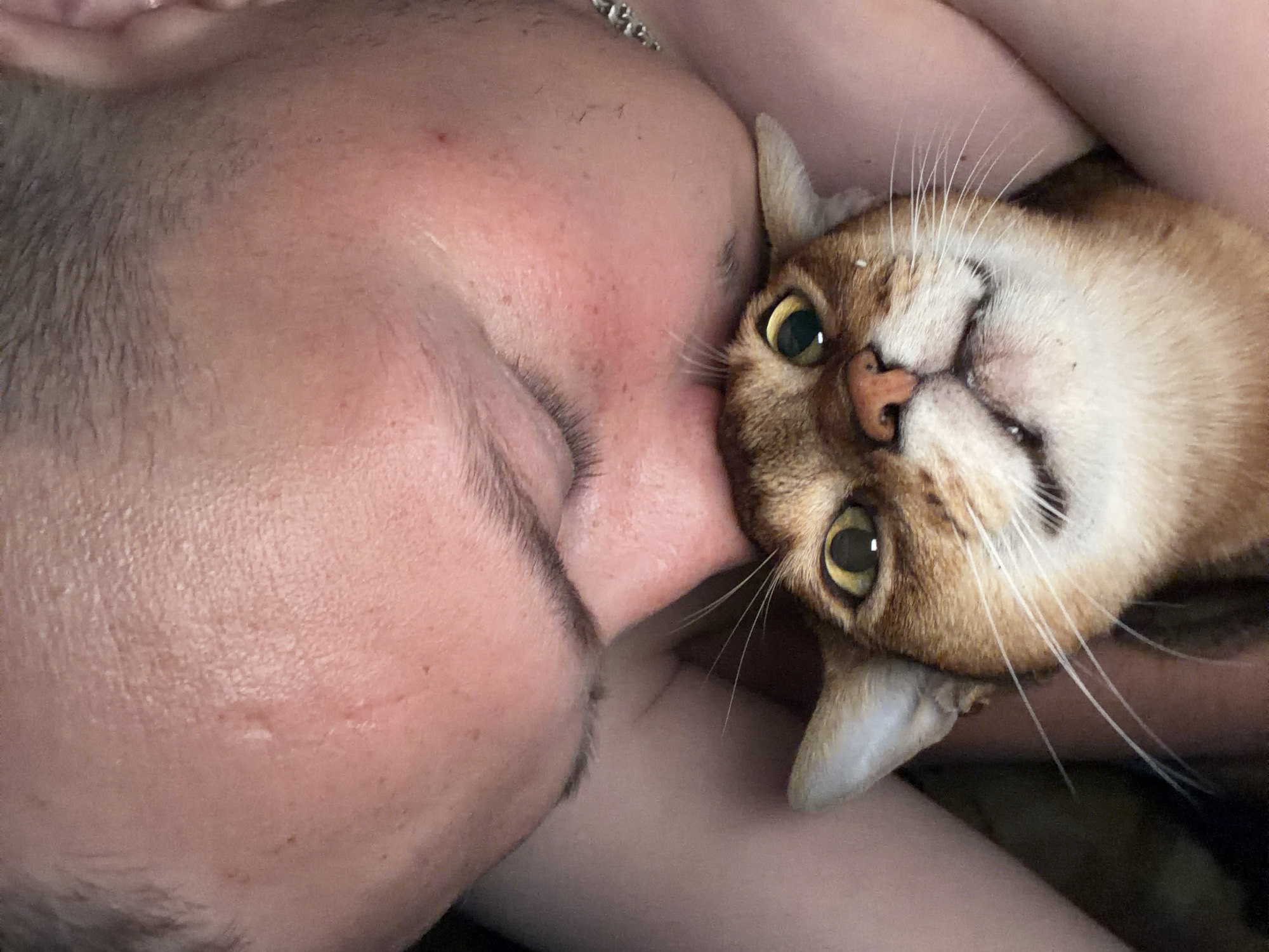 In the foreground, a domestic shorthair cat with golden eyes and ginger and white fur is being held close by a person. The person's face is positioned above the cat, with their forehead touching the top of the cat's head. The person's skin appears flushed, and there are some visible pores and a small scar or mark on their forehead. The cat is looking directly at the camera with a slightly open mouth and a wide-eyed expression, with several white whiskers fanned out. The background is dark and out of focus, suggesting an indoor setting. The image was taken in the city of Chaikovsky, Russia.