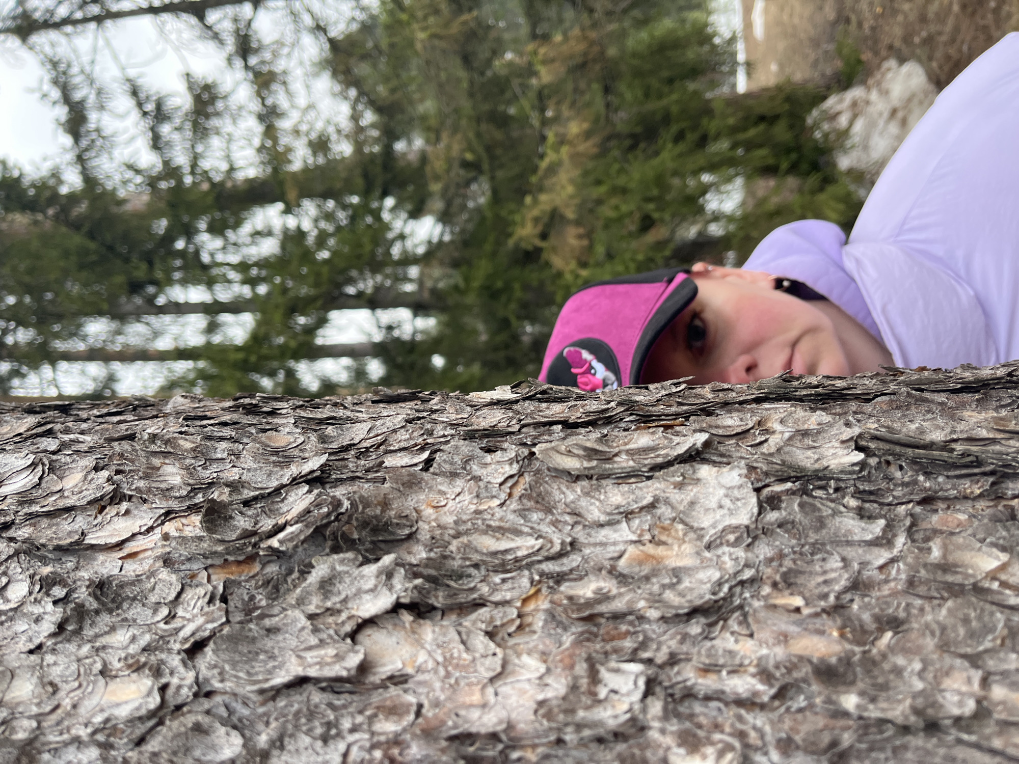 A person wearing a pink cap and light purple puffy jacket is lying on a tree trunk. The tree trunk is in the foreground and takes up about half of the image. Behind the person are blurry trees and a white sky. It is impossible to determine the location of the city of Chaikovsky, Russia based on the image alone.