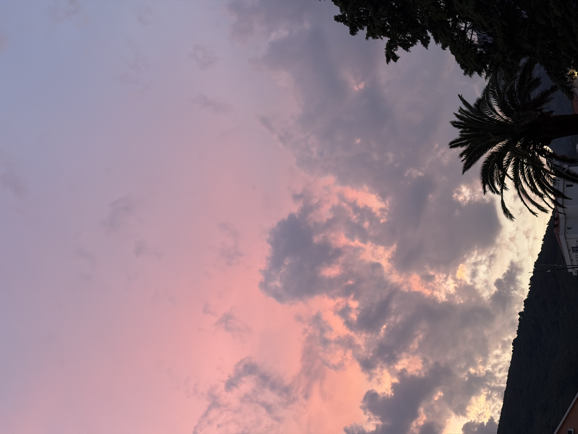 The image captures a picturesque sunset scene in Budva, Montenegro. The sky is a canvas of soft pinks and purples, with dramatic clouds tinged with orange hues where the sun's rays penetrate. A silhouetted palm tree stands prominently in the foreground, its fronds fanning out against the vibrant sky. To the right, the dark silhouette of a large evergreen tree adds depth to the composition. In the lower portion of the image, the dark outline of a hill is visible, suggesting a mountainous backdrop characteristic of the Montenegrin coast. Hints of buildings, including white structures with windows and an orange-tiled roof, are discernible at the bottom edge, indicating an urban or semi-urban environment bordering the natural landscape. The overall atmosphere is serene and visually striking, typical of a coastal sunset.