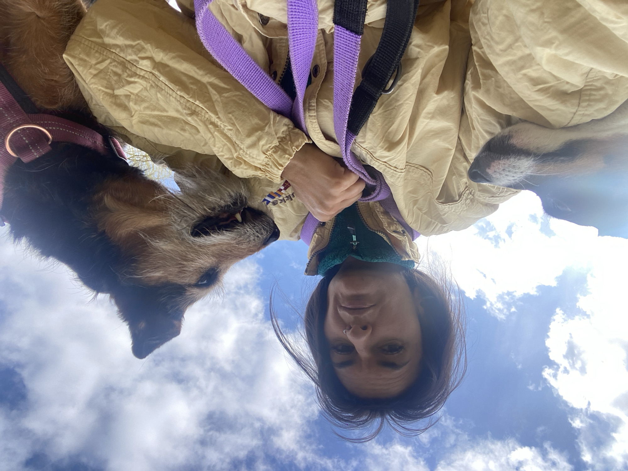 A low-angle shot looking up at a woman and two dogs against a backdrop of a blue sky with scattered white clouds. The woman is centered, with her face visible, looking directly at the camera. She has dark hair, and a nose ring. She is wearing a beige jacket and holding a purple and black dog leash. A dog with brown and black fur is on the left side of the frame, wearing a maroon harness. The second dog, only partially visible, is on the right. The location is difficult to ascertain based on this image alone and cannot be determined to be Moscow, Russia.