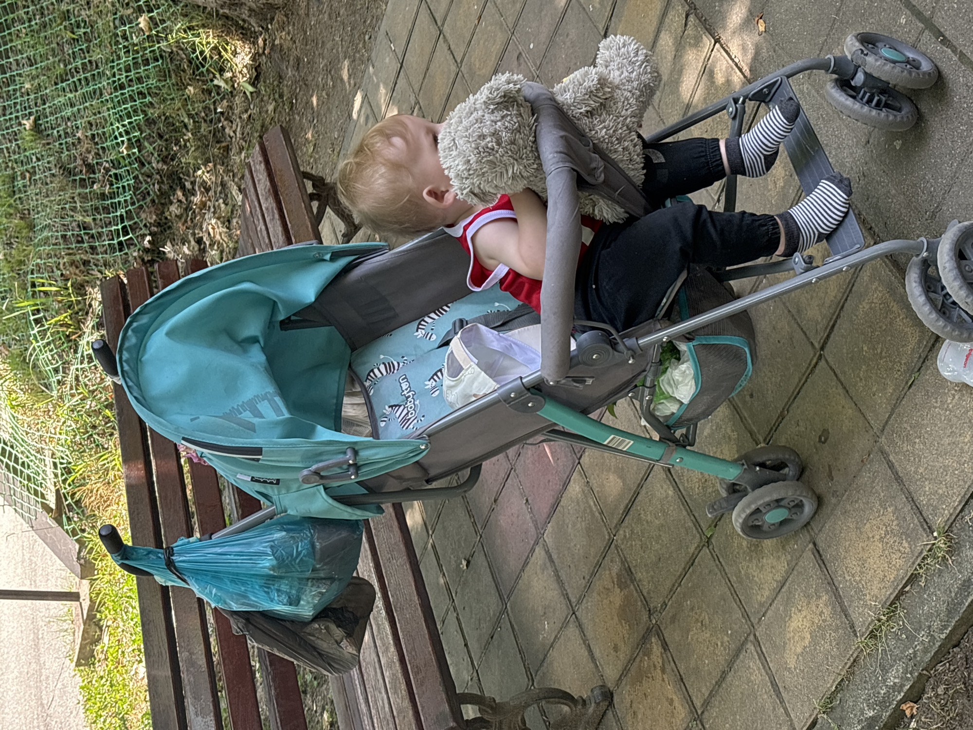 A toddler, wearing a red and white tank top and black pants with striped socks, sits in a teal stroller, clutching a stuffed bear. The stroller is parked on a paved walkway, possibly in a park, as indicated by the presence of a wooden bench, overgrown grass, and a green net fence in the background. The scene appears to be outdoors on a sunny day, with shadows indicating direct sunlight. Bags are hanging from the stroller's handle. The location is identified as Sochi, Russia.