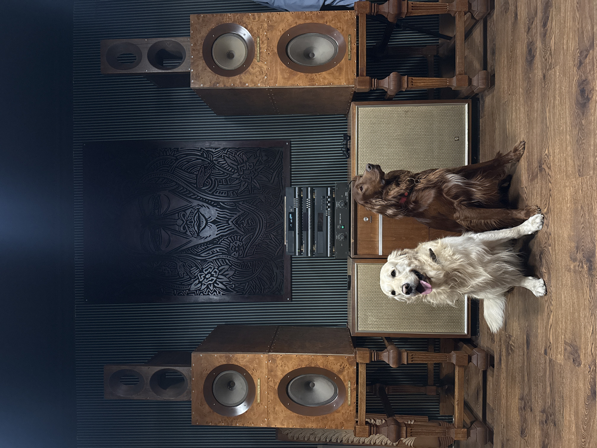 The image shows a room with a hi-fi audio setup and two dogs. The walls are covered with dark blue corrugated material. There are large wooden speakers on either side of a rack of audio equipment. Above the equipment is a dark square panel with carved floral designs. The floor is made of wood. A golden retriever and a white dog are in the lower right of the image, with the white dog lying in the foreground. There is no information in the image to indicate that the photo was taken in Yerevan, Armenia.