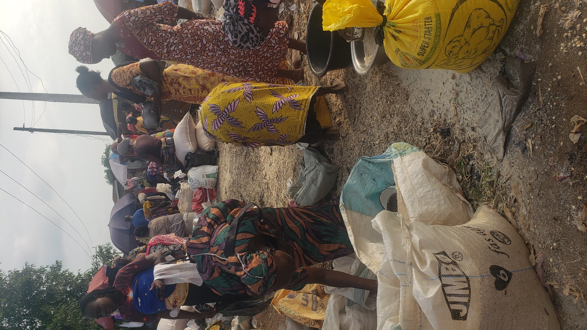 In Kakuri Gwari, Nigeria, a bustling outdoor market scene unfolds under a hazy sky. The ground is a mix of packed dirt and scattered debris, including wood shavings, leaves, and discarded materials. Several large woven bags, some white and others colored, are piled and spread across the area, containing what appears to be grain or feed. One prominent yellow bag, labeled "SUPER STARTER," features a graphic of two chicks. Black plastic bowls and a metal basin are also present, one holding what seems to be rice.
A group of individuals, predominantly women, are engaged in various activities. One woman in the foreground, wearing a colorful patterned dress and headscarf, is bending over, possibly examining or handling the contents of a large white bag. To her right, a woman in a yellow and black patterned dress and headscarf stands, holding a dark object. Another woman, to the far right, is wearing a red and white patterned dress and a headscarf. Several other people are visible in the background, some obscured by umbrellas and the general market activity, suggesting a lively commerce. The overall impression is one of an active marketplace environment, typical of a Nigerian community.