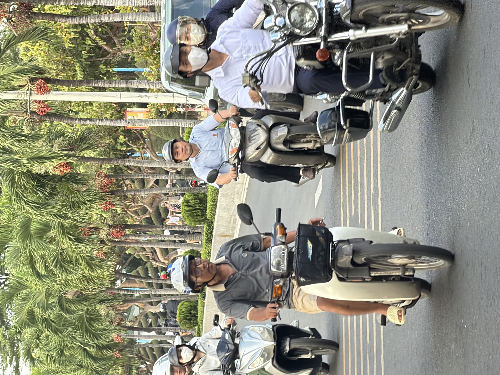 The image shows a street scene in Nha Trang, Vietnam, with several people riding motorbikes. The foreground features a man wearing a gray polo shirt and khaki shorts, riding a white motorbike. He is wearing glasses and a helmet. To his left, another person on a silver motorbike is partially visible, also wearing a helmet and a white jacket. In the midground, a man in a light blue shirt and black pants rides a silver motorbike, wearing a helmet and a serious expression. Behind him, another motorbike with two passengers, one wearing a white mask and a white shirt, and another in a dark jacket, is also visible. The background is dominated by tall palm trees lining the street, with some bearing clusters of red fruit. The road surface is asphalt with yellow lane markings. The overall impression is a typical urban street scene in a tropical climate.