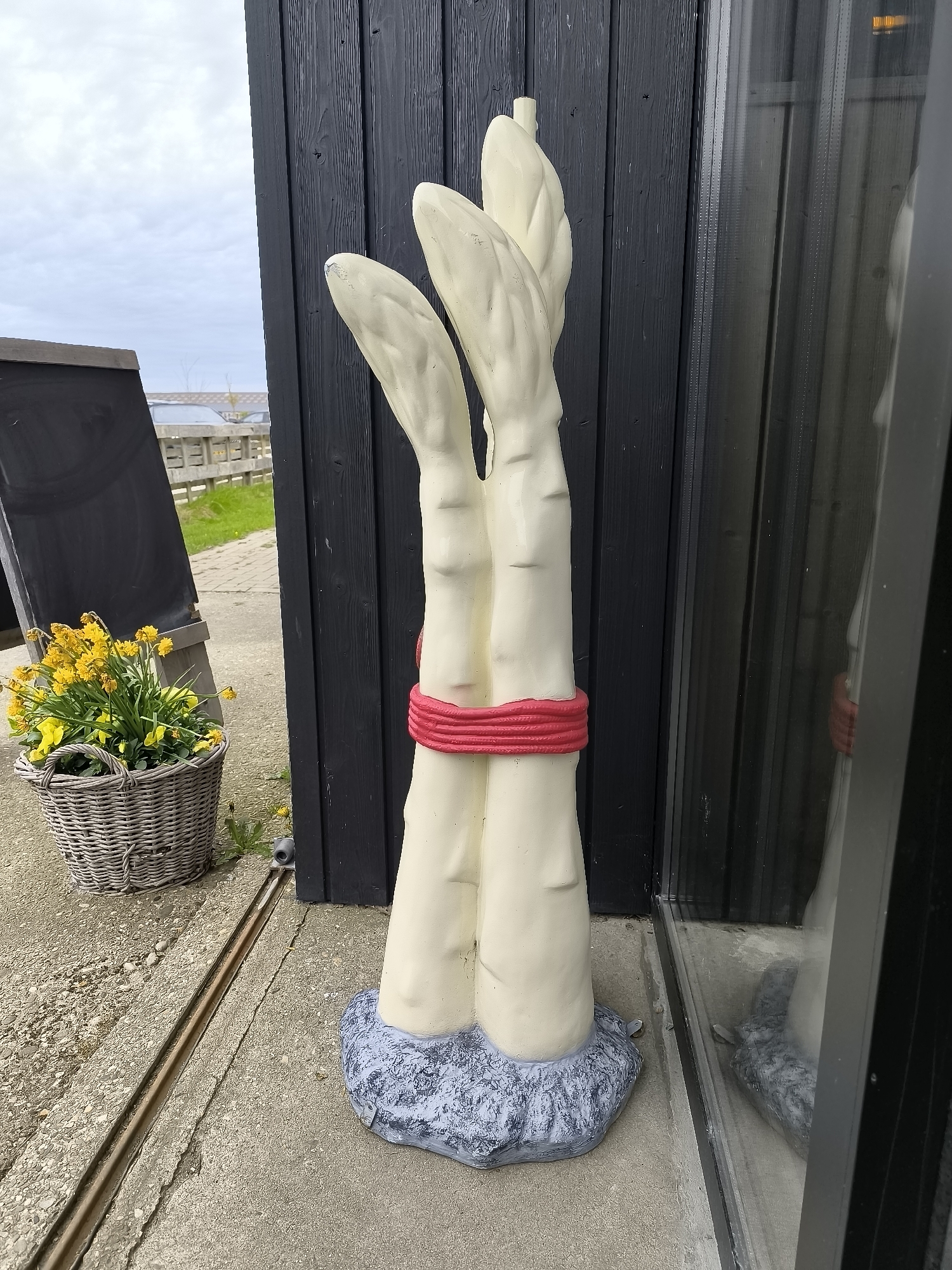 The image shows an outdoor scene in Warmenhuizen, Netherlands, featuring a sculpture of white asparagus tied together with a red rope. The sculpture sits on a grey stone base, adjacent to a dark, vertically paneled building and a reflective window. To the left, a grey wicker basket filled with yellow flowers is positioned next to a black chalkboard. In the background, a green field, a fence, and glimpses of the sky are visible. The setting appears to be a street or sidewalk with a concrete surface.