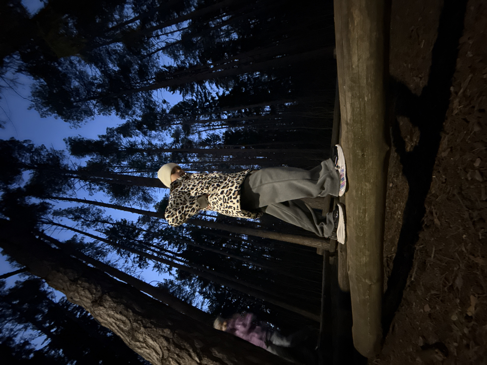 The image depicts a person standing on a large, horizontal wooden log within a dense forest, likely at late dusk or early night. The sky, visible between the numerous tall, dark trees (possibly pines), is a deep, muted blue, indicating low light conditions.
The main subject, positioned on the log, is wearing a white beanie, a jacket with a prominent leopard print pattern, and grey pants. Their athletic shoes, featuring white and colorful accents, are visible as they balance on the log. The person's posture suggests a casual stance or perhaps an act of balancing.
Below and to the left of the main subject, a blurred, indistinct figure, possibly a reflection or another person, is visible in the shadows, appearing to wear a light purple top. The log itself is thick and weathered, resting on dark, earthy ground with visible soil and debris. A prominent shadow from the log extends across the ground to the right. The overall scene conveys a serene, almost shadowy forest environment. There is no visible text in the image. The location is Votkinsk, Russia.