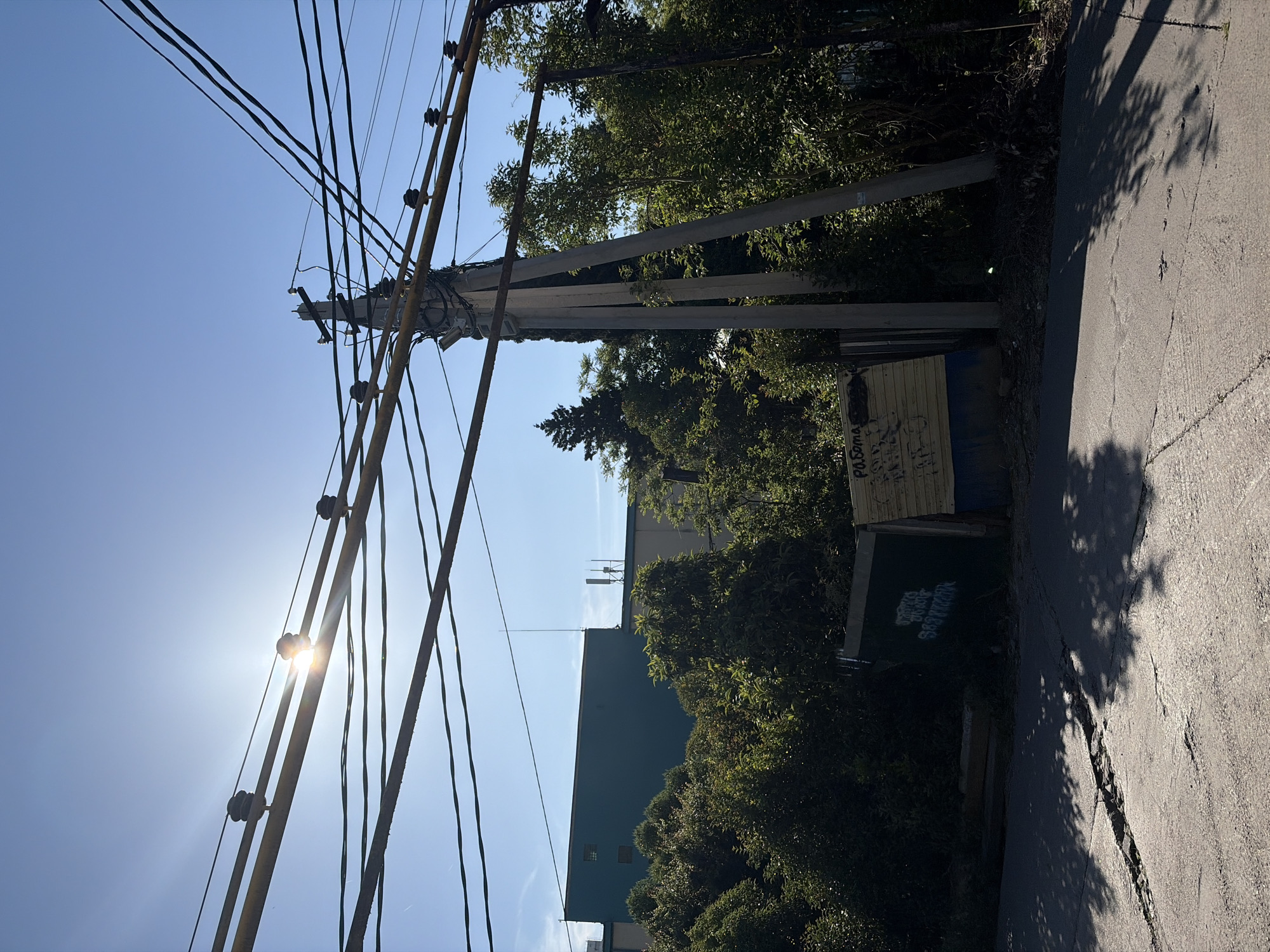 This media file captures an outdoor scene in Sochi, Russia, on a bright, sunny day, likely during late morning or early afternoon given the sun's position and the strong shadows. The image is characterized by a dense network of utility infrastructure and lush greenery.
In the foreground, a prominent array of black power lines stretches diagonally across a clear blue sky, supported by numerous metal or concrete poles. The sun is shining brightly from the left, creating a starburst flare where its light passes through some of the wires and insulators.
Several tall concrete utility poles are visible in the midground, extending upwards and partially obscured by dense, vibrant green foliage from numerous trees. Beyond the trees, the upper section of a building with a light blue or green facade can be seen, possibly with antennas on its roof.
Towards the right side of the image, a paved road or pathway is visible, showing signs of wear with cracks running across its surface. The road is partially covered by strong, dark shadows cast by the surrounding trees and possibly the utility poles. A small, rustic structure, possibly a kiosk or shed, is positioned near the road amidst the greenery. It features a light-colored wooden top section and a darker green base.
Visible text on the wooden part of the structure includes the Russian word "Работа" (Rabota), meaning "Work," followed by some illegible graffiti. On the dark green section below it, a phone number "89882200888" is written in white, along with more indecipherable graffiti. No specific activity or people are depicted, giving the scene a quiet, almost still quality.