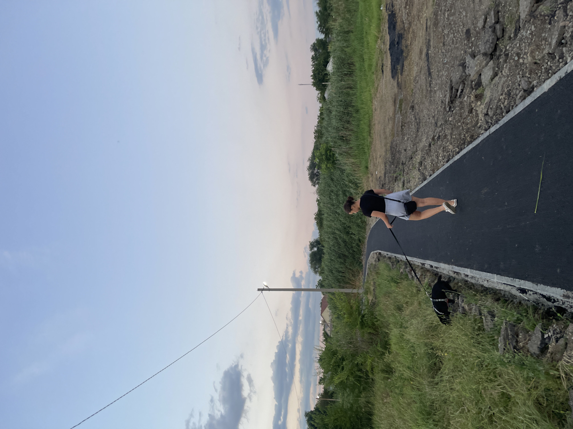In the city of Donskoye, Russia, a young woman with brown hair pulled back into a bun walks her black dog along a newly paved asphalt path. The woman wears a black t-shirt and light-colored shorts, carrying a small black crossbody bag. Her dog, on a black leash, is sniffing the tall green grass to the left of the path. The path curves to the right, leading into the distance. The environment is rural, with dense green vegetation and tall reeds flanking the path. In the background, houses with red roofs are visible amidst the trees, and a solitary utility pole with a light fixture stands near the path. The sky is a pale blue with wispy clouds, suggesting either early morning or late evening. The ground on the right side of the path is rough and undeveloped, with scattered rocks and patches of dark earth. The overall scene depicts a peaceful moment in a semi-urban, semi-rural setting during twilight.