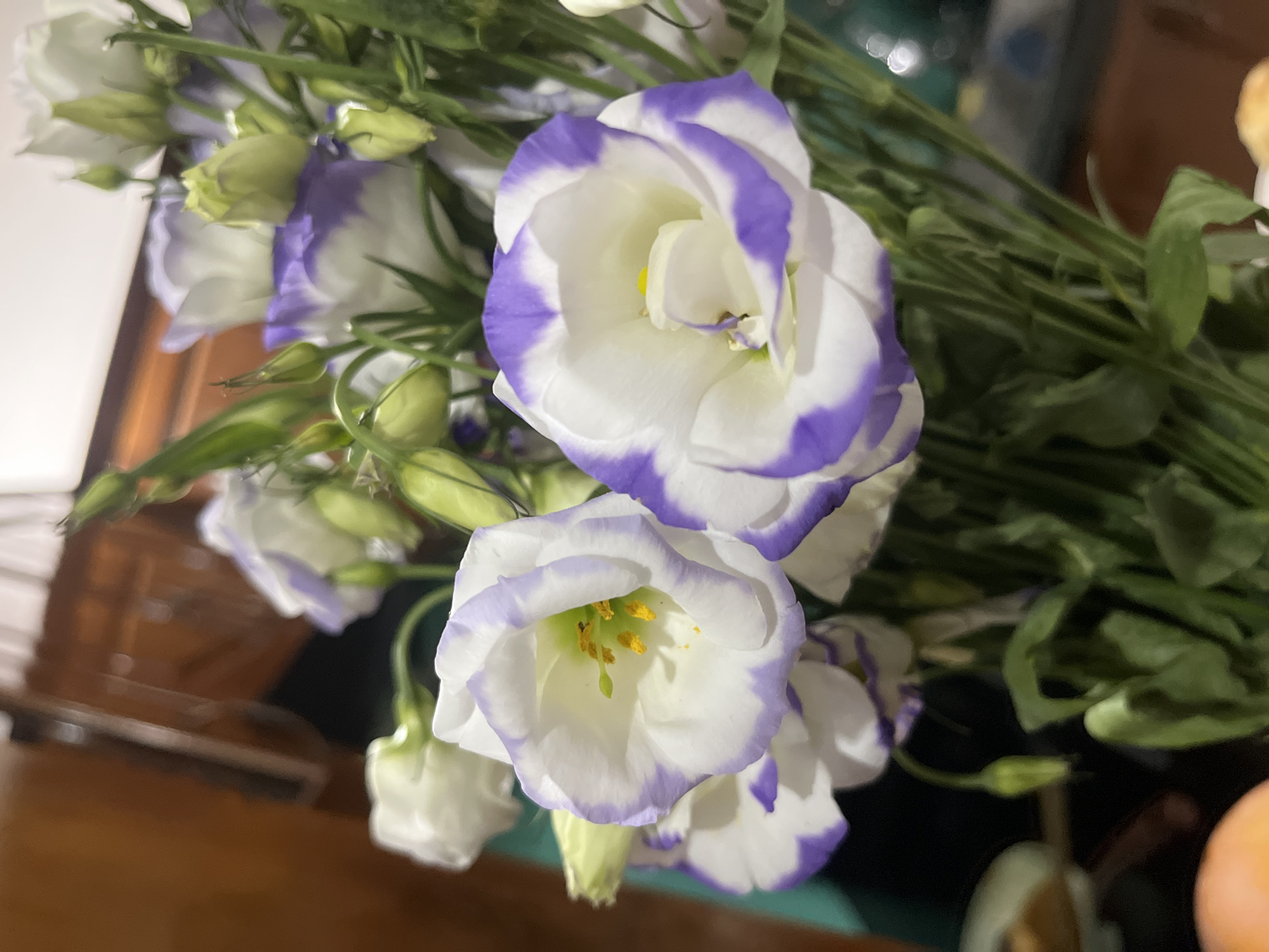 The image depicts a bouquet of lisianthus flowers with white petals edged in purple. The flowers are in various stages of bloom, with some fully open and others still budding. Green stems and leaves are visible among the blossoms. The background is blurred, suggesting a room interior. There is no information to indicate this image was taken in Nha Trang or Vietnam.