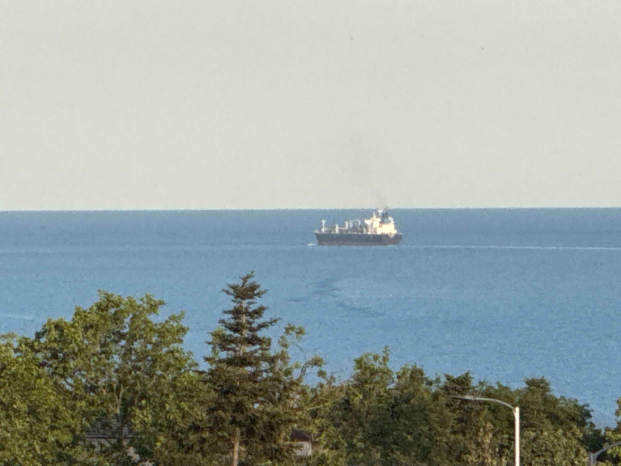 A medium shot of a large cargo ship, gray and white, on a calm, blue body of water, partially obscured by green trees in the foreground. The sky is a light gray. A street lamp is seen behind the trees on the right. The location is Unknown, Unknown.