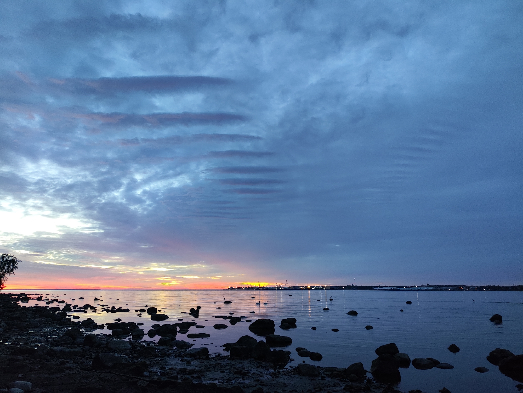 The image depicts a serene seascape at dusk, likely from a rocky shoreline in Tallinn, Estonia. The sky is a dramatic canvas of blues and purples, with streaks of orange and pink near the horizon, indicating the setting or rising sun. A distant city skyline, possibly the Port of Tallinn, is visible with illuminated cranes and buildings. The water is calm, reflecting the colors of the sky and the distant lights. Several rocks are scattered along the shore and in the shallow water. Two swans and a few birds are visible in the water. A lone tree stands on the left side of the frame, silhouetted against the colorful sky. The overall atmosphere is peaceful and tranquil.