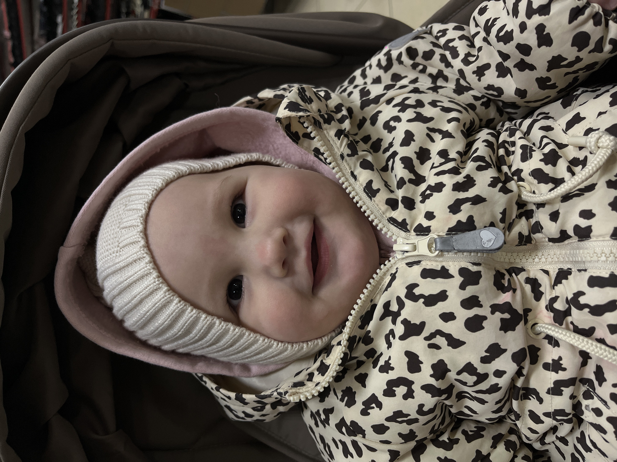 A baby is lying in a stroller, wearing a white knit hat and a leopard-print jacket with a pink lining in the hood. The baby is smiling at the camera. The stroller has a brown interior. No information is provided in the image to corroborate the specified location of Novopokrovskaya, Russia.