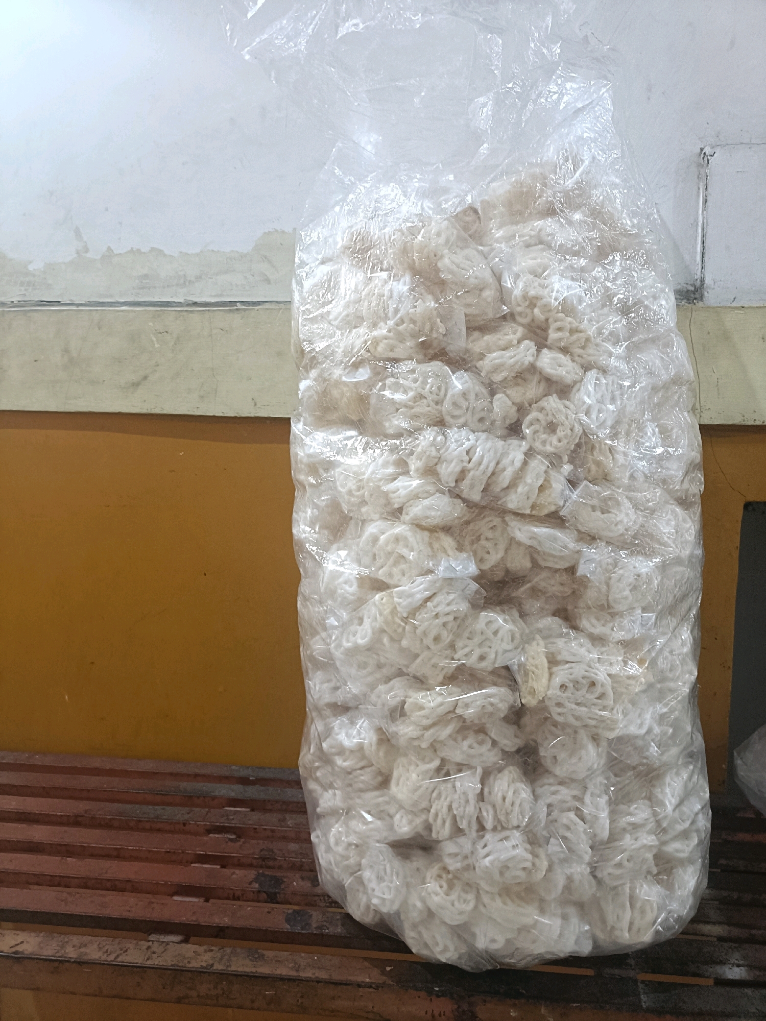 A large, clear plastic bag filled with white, circular, knot-shaped crackers, commonly known as "krupuk," is shown in this photograph. The bag is standing upright and appears to be a significant size, likely intended for wholesale or bulk sale. The crackers are tightly packed together, and their intricate, airy structure is visible through the plastic.
The bag is positioned on top of a slatted wooden surface, which resembles a bench or a shelving unit made of dark reddish-brown wood. This surface shows signs of wear, with some lighter marks and a generally aged appearance.
Behind the bag and the wooden structure, the background consists of a wall. The lower portion of the wall is painted a deep, warm yellow or ochre color. Above this yellow section, the wall transitions to a lighter, off-white or pale gray color. This upper section of the wall appears somewhat distressed, with areas of peeling paint or water staining, creating an uneven texture. There are also some faint dark vertical lines visible on the upper wall, possibly marks or the edge of a structural element.
The overall lighting suggests an indoor environment, possibly a storage area or a shop, with a diffused light source. The context of this image, with the abundance of "krupuk" in a simple setting, points towards a commercial or food-related location.
Given the commonality of "krupuk" as a popular Indonesian snack and its typical sale in such bulk packaging, this scene is likely situated in a local market, a small food distributor, or a home-based business within the city of Semarang, Indonesia, where such products are widely produced and consumed. The unpretentious and functional presentation of the goods suggests a practical rather than decorative setting.