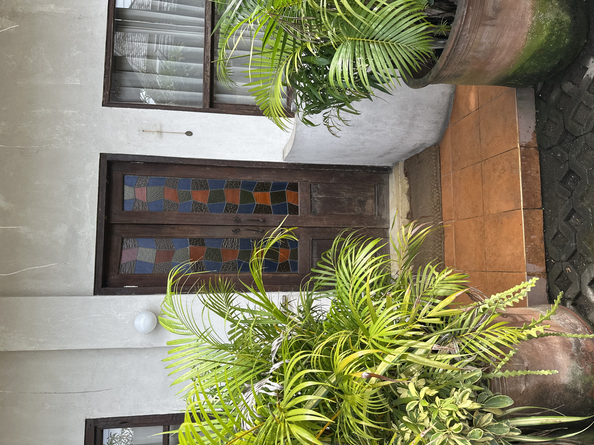 This image captures a serene outdoor entrance or patio area, adorned with lush tropical vegetation and traditional architectural elements, likely during daylight hours. The scene emanates a calm and natural ambiance, characteristic of a humid climate.
At the center is a dark wooden double door, distinguished by its stained-glass panels. These panels are an intricate mosaic of small, irregularly cut squares and rectangles, showcasing a palette of blue, orange, green, brown, pink, and grey hues. Above the door, a small, horizontal metal fixture is affixed to the light-colored, textured wall. Directly above this is a rectangular window with a dark wooden frame, through which interior blinds or curtains are visible. A small, spherical white light fixture is mounted on the wall to the left of the door, positioned below the upper window.
The ground surface in front of the door features light brown/orange square tiles, transitioning to darker grey interlocking pavers on the right. These pavers show signs of moss or dirt, hinting at regular exposure to the elements.
The area is richly decorated with a variety of plants, predominantly vibrant green, palm-like foliage with long, narrow fronds, spilling from large, terracotta-colored pots. One large pot in the upper right corner is notably covered in green moss or algae, further emphasizing the humid environment. Other plants with broader, possibly variegated leaves, and a unique plant with a zig-zag stem contribute to the dense greenery in the lower right portion of the image. The bright, natural light suggests it is daytime, creating a peaceful and inviting atmosphere. The tropical flora and architectural style strongly align with the provided location context of Mengwi, Indonesia. No text is visible in the image.