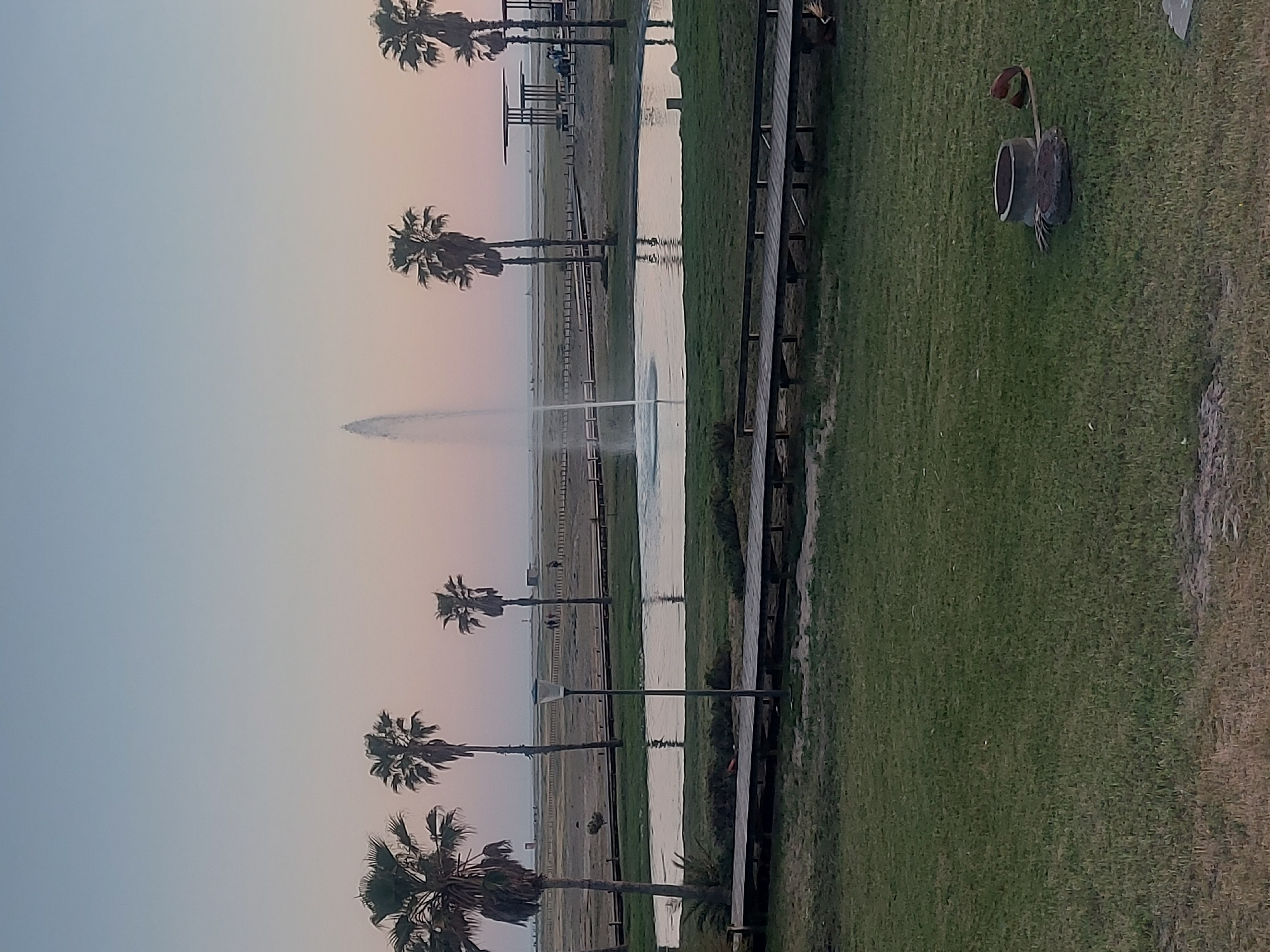 The image captures a scene in Figueira da Foz, Portugal. It presents a view with palm trees lining the landscape towards the horizon. A prominent water fountain is centrally positioned, adding an element of activity and visual interest. Adjacent to the water feature is a strip of greenery, with a boardwalk stretching along its edge. The environment suggests a well-maintained park area in the city.