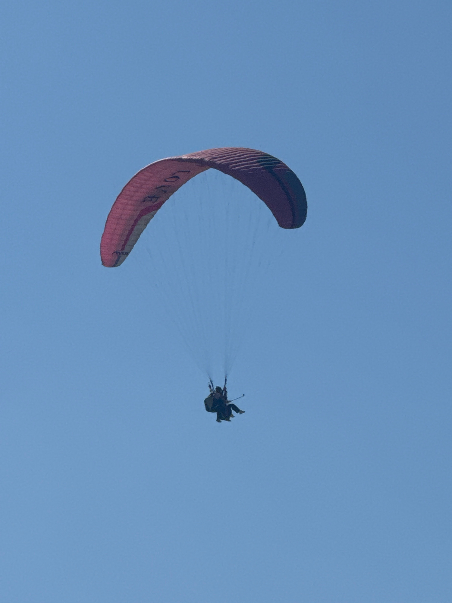 In the clear blue sky above Boreti, Montenegro, a tandem paraglider is captured in mid-flight. The paraglider, a large, curved canopy, is predominantly a deep pinkish-red with lighter panels and appears to have the word "LOVE" inscribed in white lettering. Suspended beneath the canopy by thin lines are two individuals seated in a harness. They are dark silhouettes against the sky, their bodies positioned side-by-side as they experience the exhilaration of paragliding. The image captures a moment of freedom and adventure against the backdrop of a serene, cloudless sky.