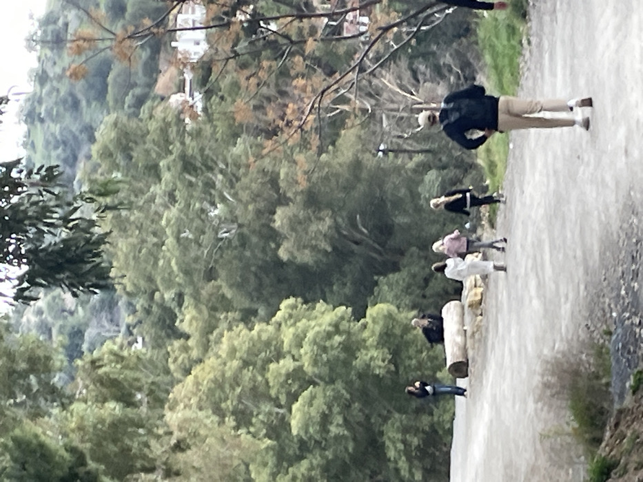 The image displays an outdoor scene, likely a hiking trail or natural park in El Chorro, Spain. A light-colored dirt path winds through the lower and mid-sections of the frame. Several individuals are scattered along this path, engaged in leisure activities.
In the foreground on the left, a person is partially visible wearing blue jeans and a dark top. Slightly further along the path, two people are seated on a large, light-colored log or rock. Beyond them, other individuals are walking or standing; one person wears white clothing, another a light pink top and dark pants, and a third a black jacket. Towards the middle distance, a person stands prominently in a dark jacket, light-colored pants, and a light hat, appearing to observe the surroundings. Another individual is partially seen at the far right edge of the frame.
The background is dominated by lush, densely forested hills covered with various shades of green trees and bushes, indicating a rich natural landscape. Faintly visible in the upper background, nestled within the foliage, are several white buildings, suggesting human settlement nearby. The lighting suggests it is daytime, possibly overcast, creating a soft, diffused illumination across the scene. There is no visible text in the image. The scene conveys a sense of relaxed outdoor recreation amidst scenic natural beauty.