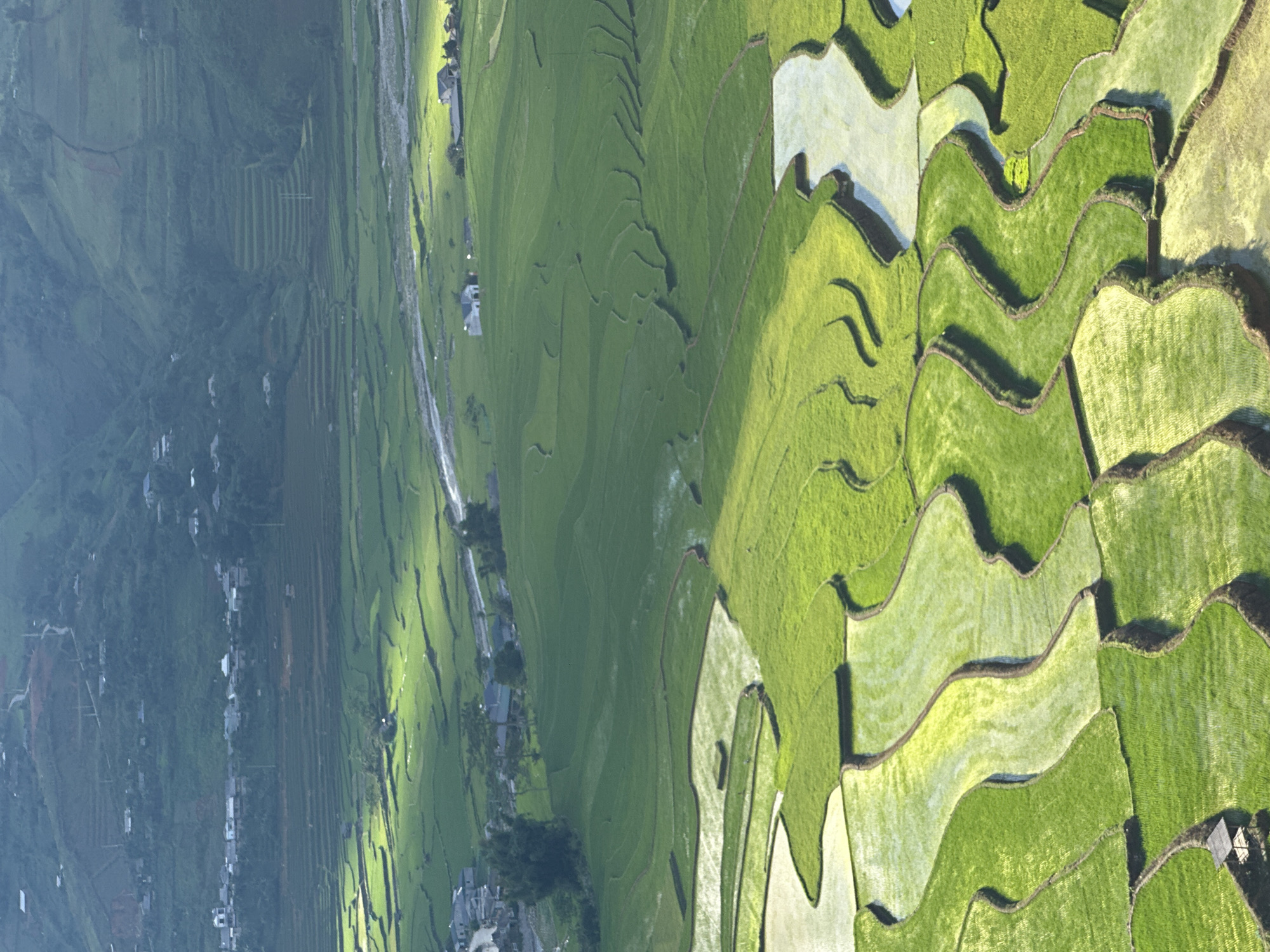 This image presents an aerial perspective of a valley in Tu Le, Vietnam, dominated by extensive agricultural terraces. In the immediate foreground, intricate, curvilinear rice paddies display varied stages of cultivation; some are flooded with water, reflecting bright sunlight and appearing pale, while others are planted with lush, vibrant green rice. The terrace walls are dark and undulating. A small, open-sided shelter with a dark roof is visible in the lower-left corner.
Moving into the midground, broader expanses of green rice fields stretch towards a winding river that traverses horizontally across the scene. Patches of intense sunlight illuminate sections of these fields. Along the river and nestled within the fields, several white-walled, dark-roofed houses are scattered.
The background features towering, verdant mountains, also shaped by numerous terraced fields on their slopes. A cluster of white and grey-roofed buildings, indicative of a village, is situated on a hillside in the upper-left background, with a winding road visible above it. The overall illumination suggests strong, directional sunlight, casting distinct patterns of light and shadow across the terraced landscape. No human figures or explicit activities are discernible.