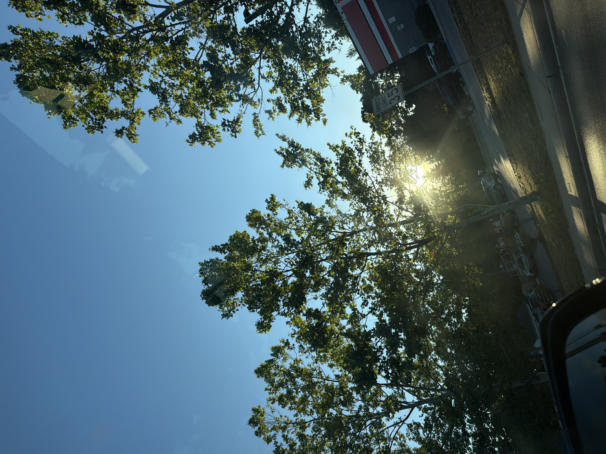 The image, taken on a clear day in Riverhead, United States of America, shows a sunlit scene with several trees in the foreground. The sun is low in the sky, creating a lens flare and casting long shadows. A speed limit sign indicating "35" is visible. In the background, a building with red and white stripes and several parked cars can be seen. The perspective suggests the photo was taken from inside a vehicle, looking out through a window, as evidenced by reflections on the glass. The overall environment appears to be an urban or suburban setting.
