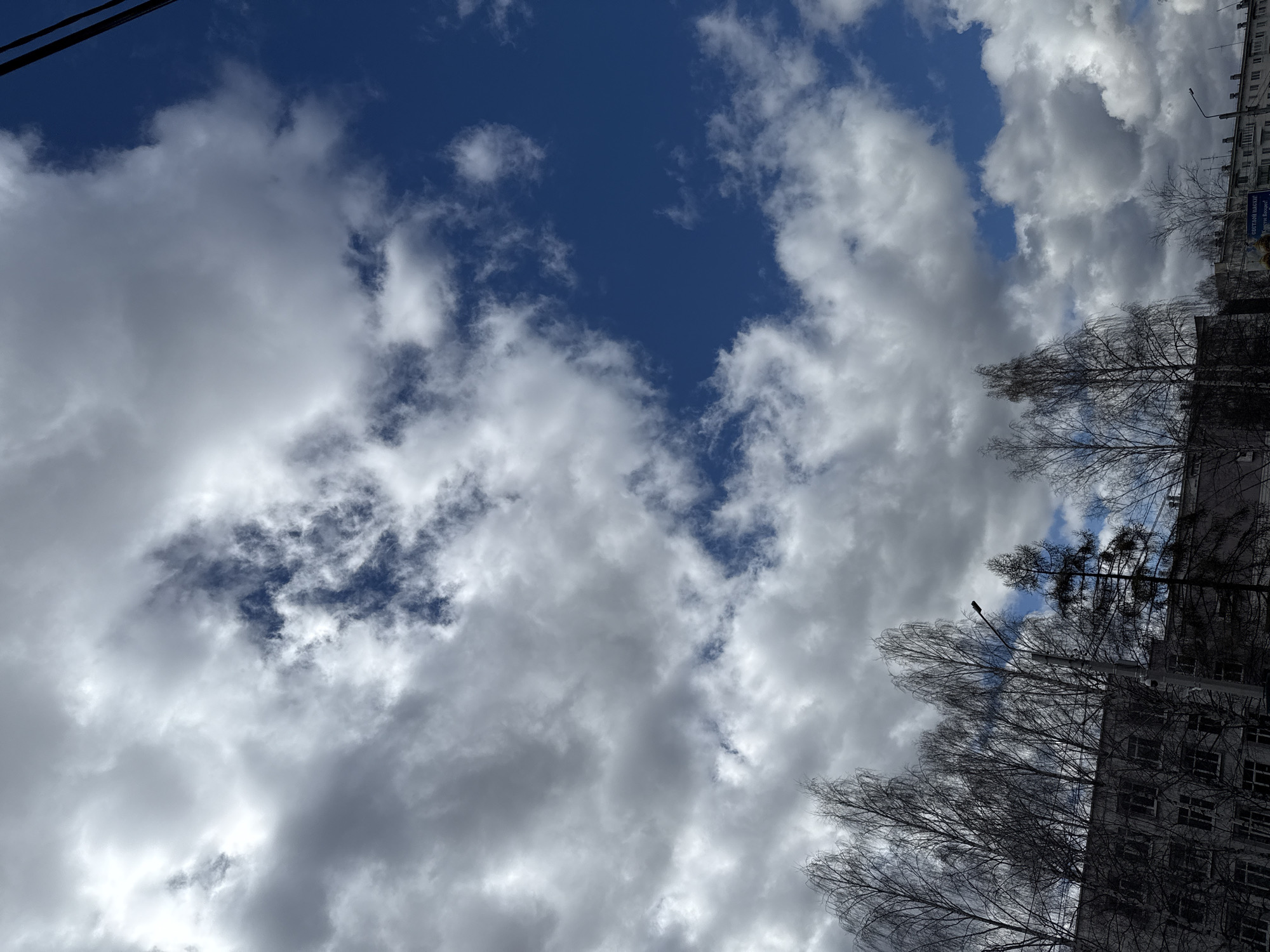 The image depicts a sky with blue patches visible through dense, layered clouds. Silhouetted bare tree branches and the corner of a light-colored building with multiple windows are visible in the lower-right corner. Power lines are visible in the top left. The location is in the city of Unknown, Unknown.