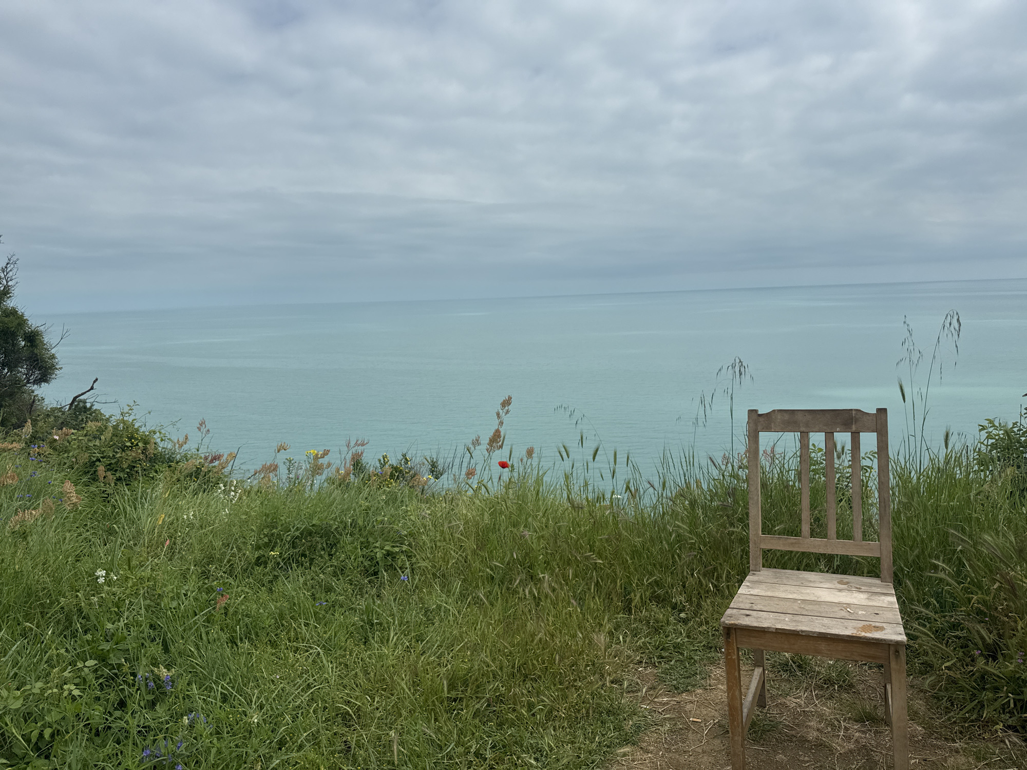 A landscape view shows a wooden chair sitting on a grassy hill, overlooking a body of water under a cloudy sky in Unknown, Unknown. The chair is positioned to the right of the frame, and the grass and wildflowers are visible to the left.