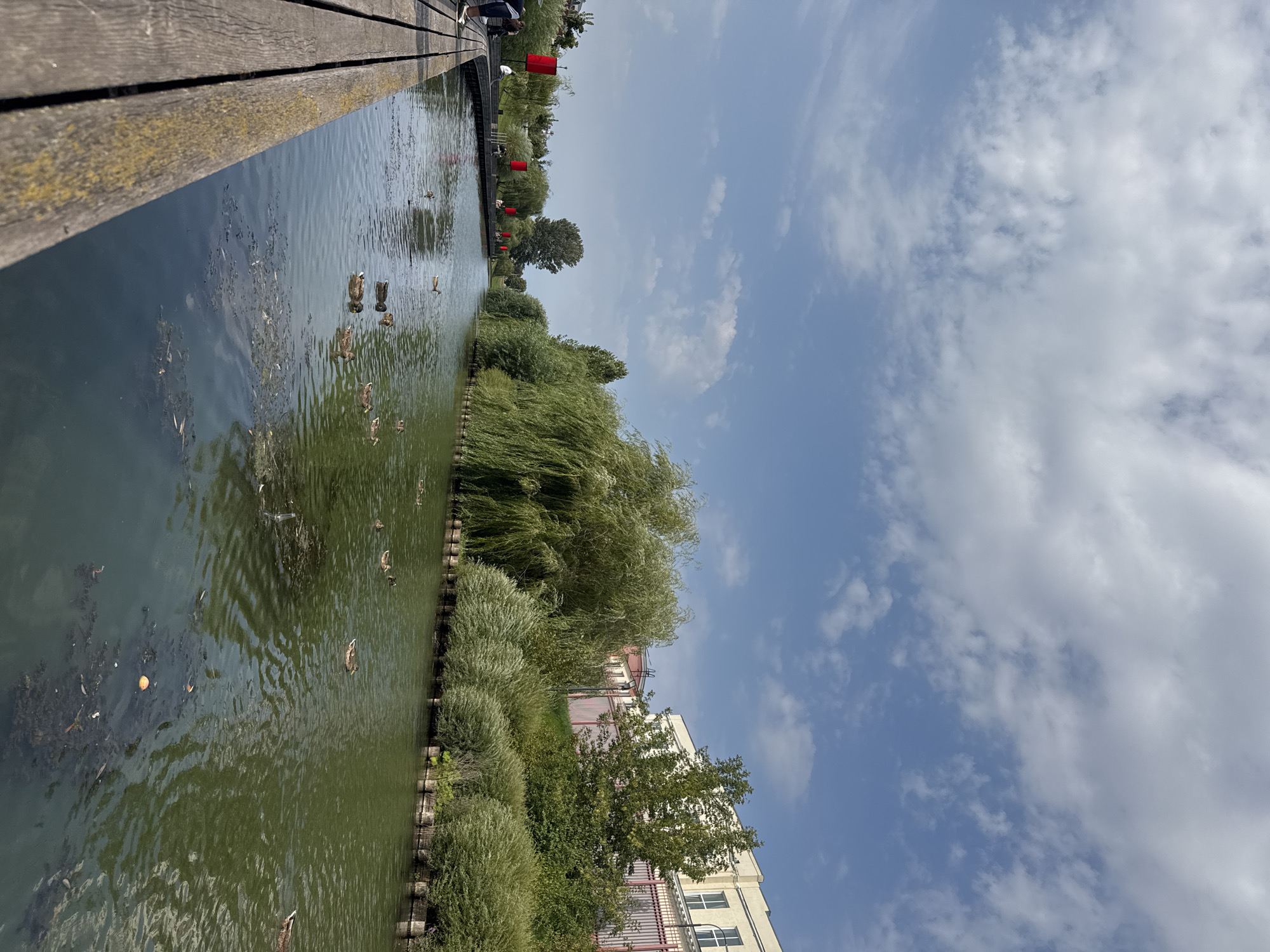 The image depicts a scenic canal on a partly cloudy day. A wooden boardwalk runs along the left side of the canal, with several people visible walking and sitting. The canal itself is calm, with numerous ducks swimming on its surface. Lush green trees and bushes line the banks of the canal, with buildings visible in the background on the right side. Red lanterns are also dotted along the boardwalk, adding a touch of color to the scene. This canal is likely the Tulitsa River in Tula, Russia, a popular recreational area.