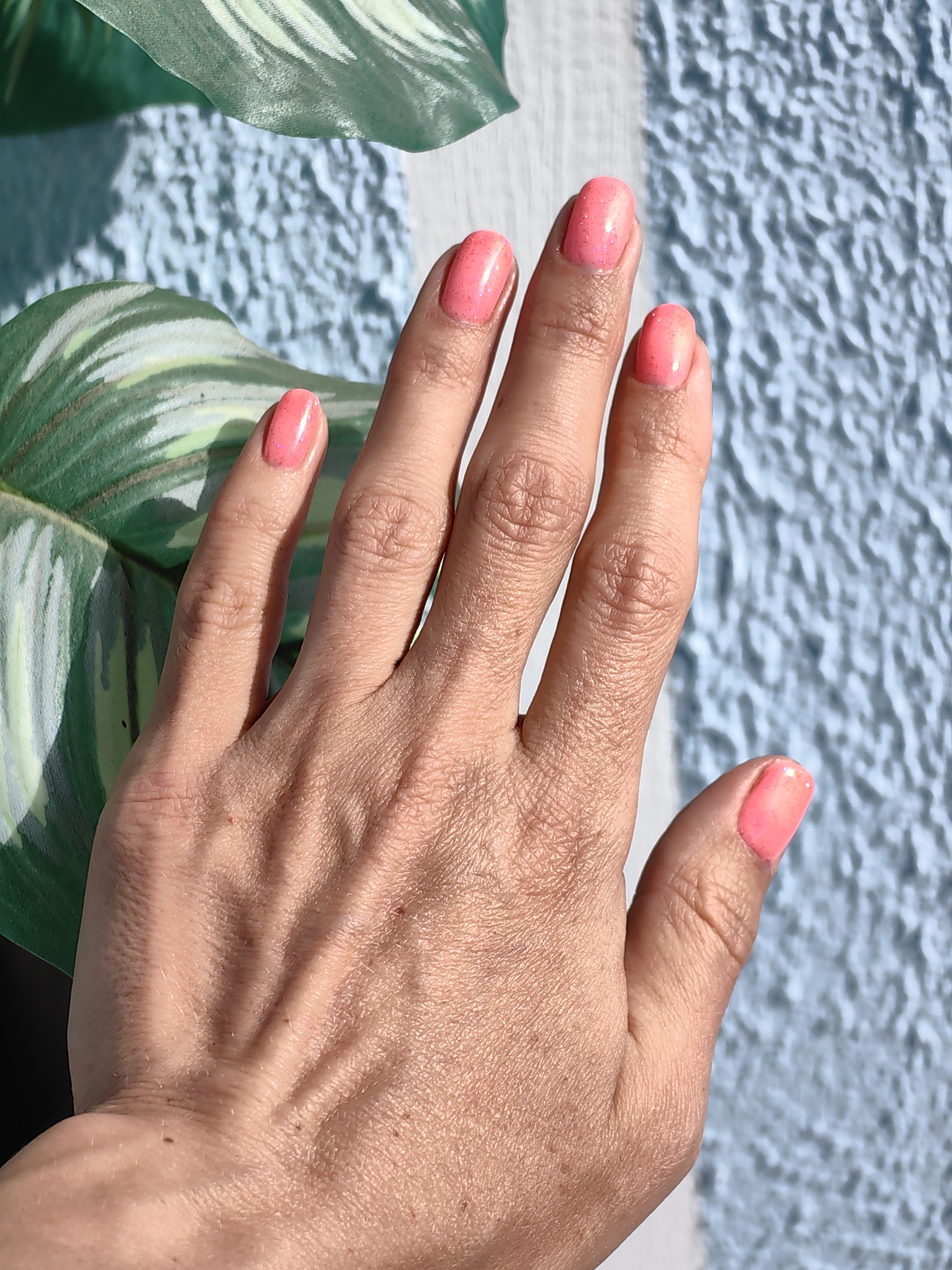 A close-up, eye-level shot shows a person's left hand with coral pink nail polish, positioned in front of a textured blue wall and a large, green leaf. The hand is illuminated by sunlight, casting shadows on the skin and the wall. The overall scene is still and quiet, with no visible activity or movement. The location is identified as Fanipal, Belarus.
