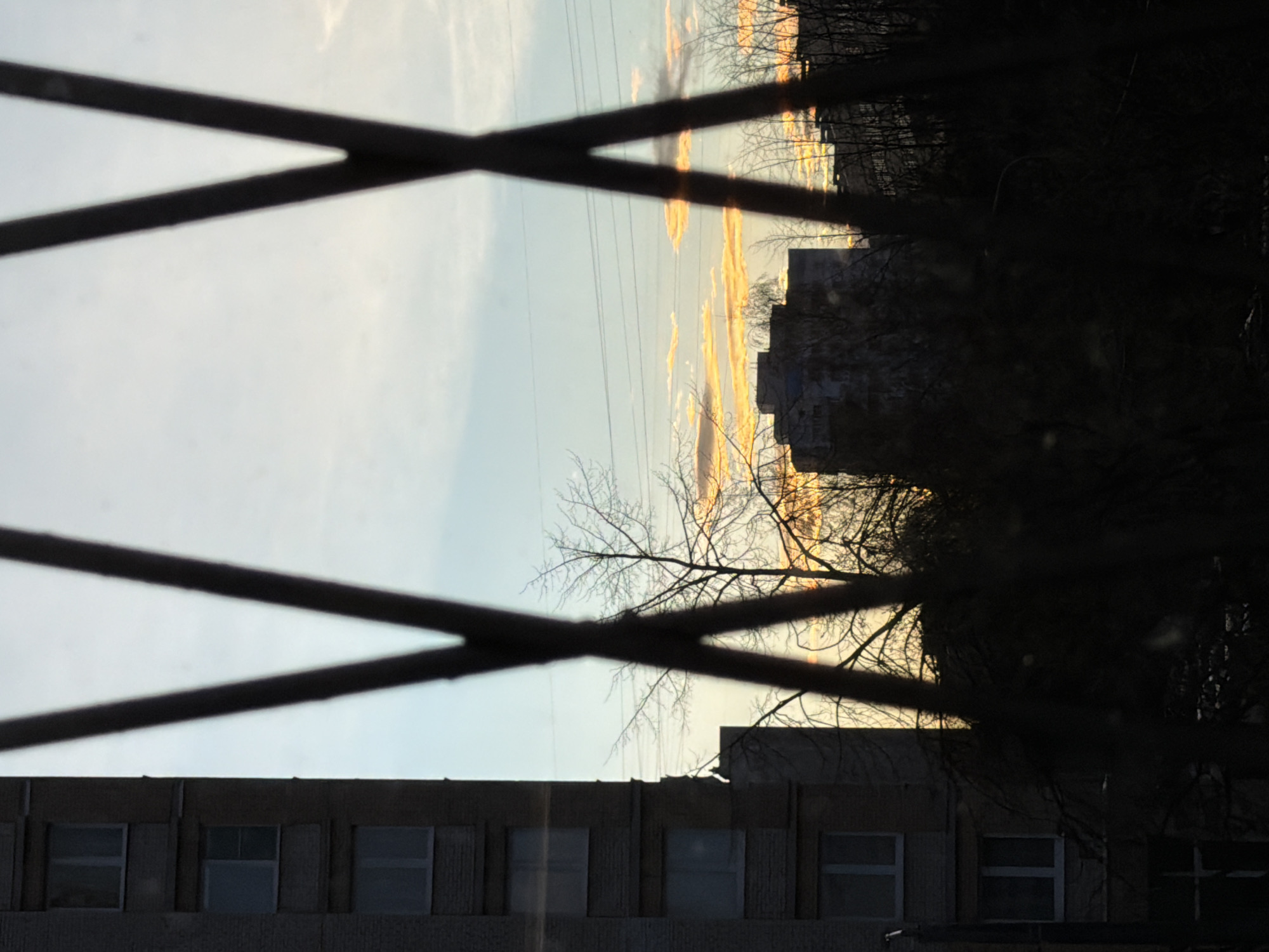 This image captures an urban landscape in Saint Petersburg, Russia, during the golden hour, likely sunrise or sunset. The scene is viewed through a dark, diagonal grid of bars in the immediate foreground, possibly a fence or window grating, which forms an "X" shape and partially obstructs the view.
Beyond this barrier, the sky dominates the upper portion of the frame. It displays a light blue hue, transitioning to warm, golden, and orange tones on the right side where scattered clouds are brightly illuminated by the low sun. Several thin power lines are visible stretching across the sky.
Silhouettes of bare tree branches, suggesting an autumn or winter season, frame the right side of the image and extend into the upper central area, adding to the atmospheric depth. In the midground, a multi-story building with multiple windows is visible along the bottom edge, appearing somewhat shadowed but clearly structured. Further in the distance, another building is silhouetted against the bright, warm sky, catching some of the golden light.
The strong backlighting creates high contrast, emphasizing the shapes of the foreground elements and trees against the illuminated sky. There are no visible people or discernible activities taking place. No text is visible in the image.