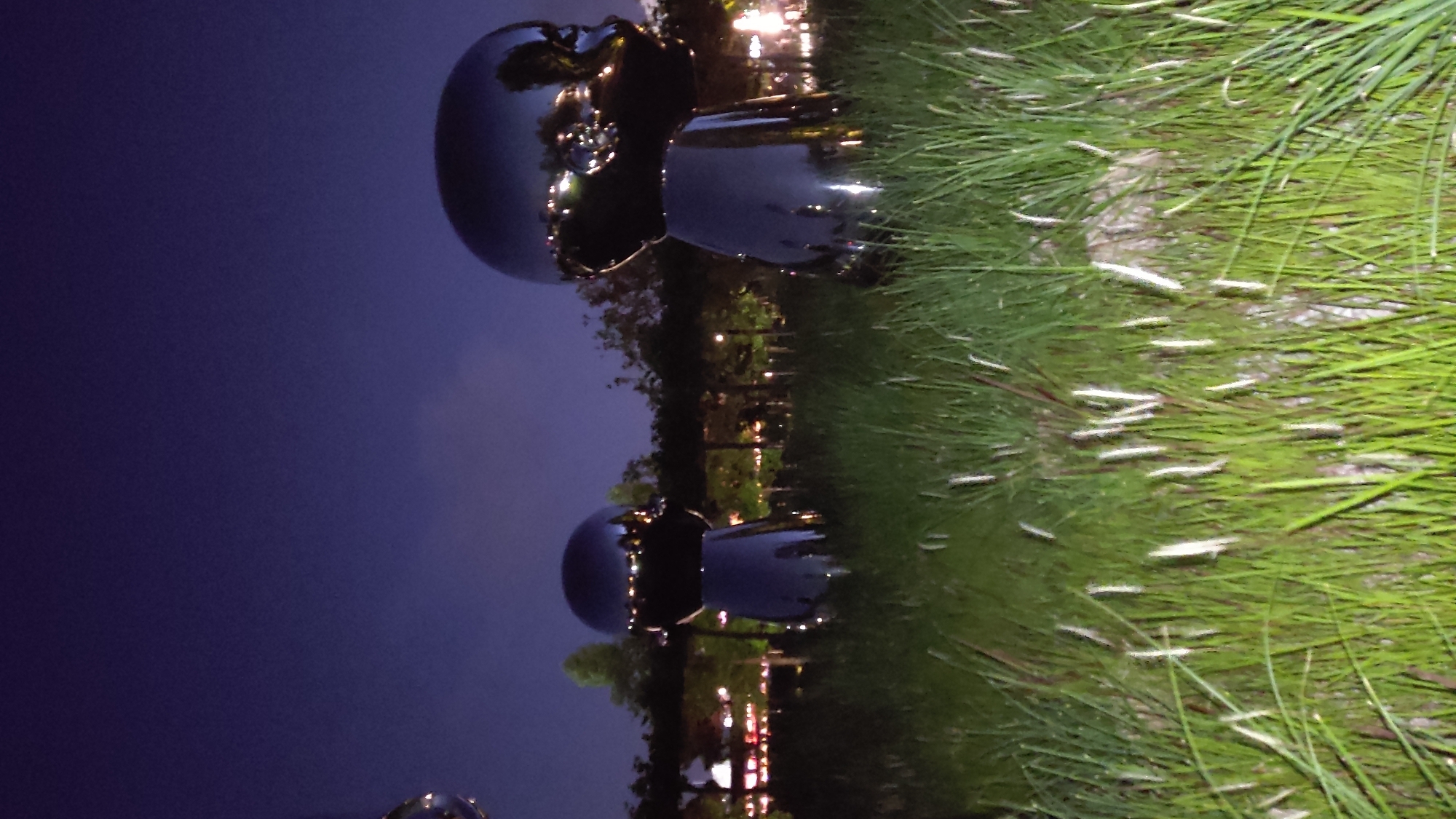 The image displays an outdoor scene at twilight or night, featuring several large, highly reflective sculptures set against a dark background with vibrant green foreground elements.
The primary subjects are two or more stylized, dark, metallic sculptures that resemble abstract human heads or busts. The most prominent sculpture, located centrally, is a smooth, rounded form atop a pedestal, highly polished to reflect its surroundings. Its surface clearly mirrors the distant lights, trees, and the dark sky, showing bright glints where lights catch its curves. A second, similar but smaller sculpture is visible further back and to the right, also reflecting the environment.
The background consists of a dark indigo or deep blue sky that hints at either late dusk or nighttime. Below the sky, faint silhouettes of trees and numerous small, bright artificial lights are visible, suggesting a distant urban or park setting. These lights are also vividly reflected in the glossy surfaces of the sculptures.
The foreground, occupying the right side of the image, is dominated by lush, bright green grass. The grass appears to be well-lit, possibly by unseen ground lights, and features numerous light-colored, possibly white or pale yellow, feathery plumes or seed heads scattered throughout, adding texture and contrast.
There is no discernible activity or event taking place; the scene is static, showcasing the art installation within its landscape. No visible text is present in the image. Given the provided context, the scene is located in Krasnodar, Russia, likely depicting a public art installation in a park or open space. The overall mood is serene and contemplative, highlighting the interplay of light, reflection, and natural elements.