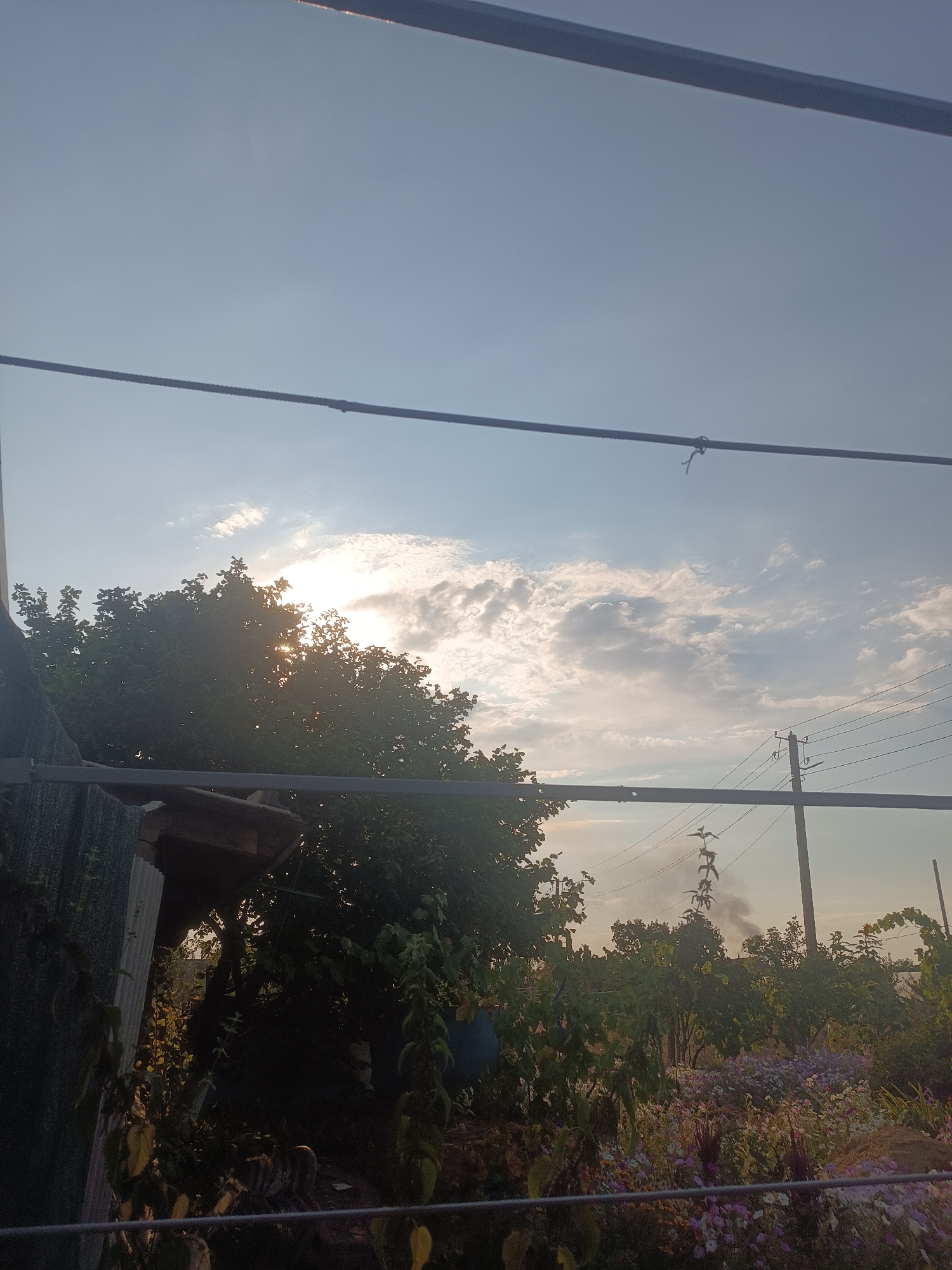 The image depicts an outdoor scene, likely a rural or suburban backyard, with a glimpse of a village in the background. The sky is a pale blue with scattered white clouds, suggesting either early morning or late afternoon. The sun is partially obscured by foliage, casting rays through the leaves. In the foreground, a dense collection of trees and plants, some appearing to be flowering, fills the lower portion of the frame. A rustic structure, possibly a shed or lean-to, with corrugated metal siding is visible on the left. Several wires are stretched across the image, running horizontally and obscuring parts of the view. In the mid-ground, a utility pole with several wires is present. A thin plume of smoke rises from behind a line of trees on the right side of the image, indicating potential activity such as a controlled burn or a small fire. The image does not contain any identifiable people or specific architectural features that would pinpoint a precise location within Vypasne, Ukraine, but it captures a natural setting with evidence of human infrastructure and activity.