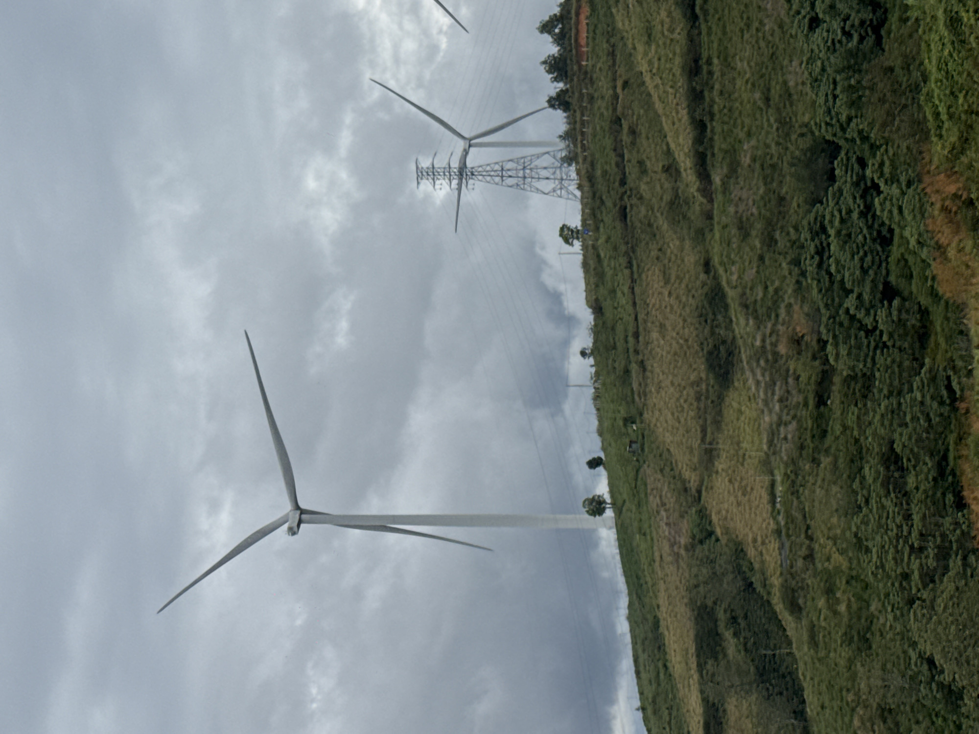 The image shows a rural landscape with wind turbines and power lines in Trường Thọ, Vietnam. The foreground features a large wind turbine with three blades against a cloudy sky. In the background, more wind turbines and a power line structure are visible on a grassy hillside. The hillside is covered in vegetation, including trees and shrubs. The sky is overcast with gray clouds.