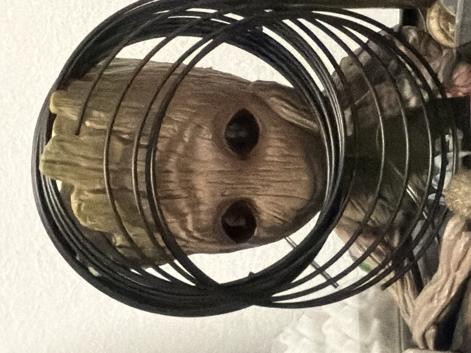 A close-up, eye-level, medium shot captures a Groot figurine, a fictional character from Marvel comics and films, positioned behind a black, circular wire structure, possibly part of a fan guard. The figurine's head, made of wood-like material with textured bark, is visible through the wires. Its large, dark eyes stare forward, and its mouth is a subtle line. The figurine has root-like limbs. The background is a white, textured wall. The overall lighting is flat, with some graininess in the image. The location of this scene in Torremolinos, Spain, is not visually ascertainable from the provided image.