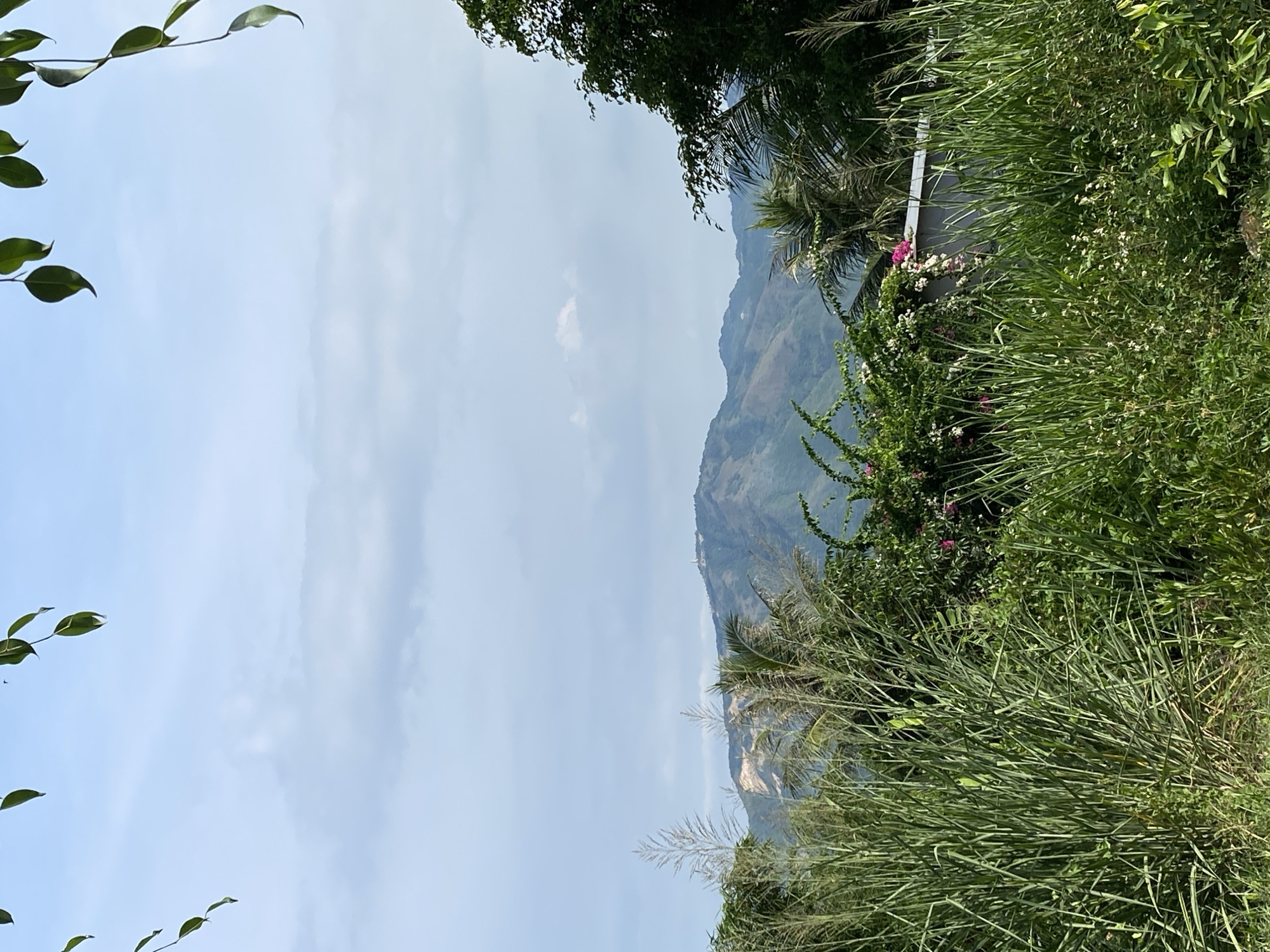 A wide shot shows a lush green foreground with tall grasses and foliage obscuring a grey structure. Behind the vegetation, rolling green hills stretch into the distance under a pale blue sky with scattered white clouds. The hills are dotted with trees, and a small building with a white tower sits atop one of the highest peaks. The scene is framed by dangling green leaves in the upper corners. The image appears to be taken in a rural or semi-rural area with a natural landscape dominating the view.