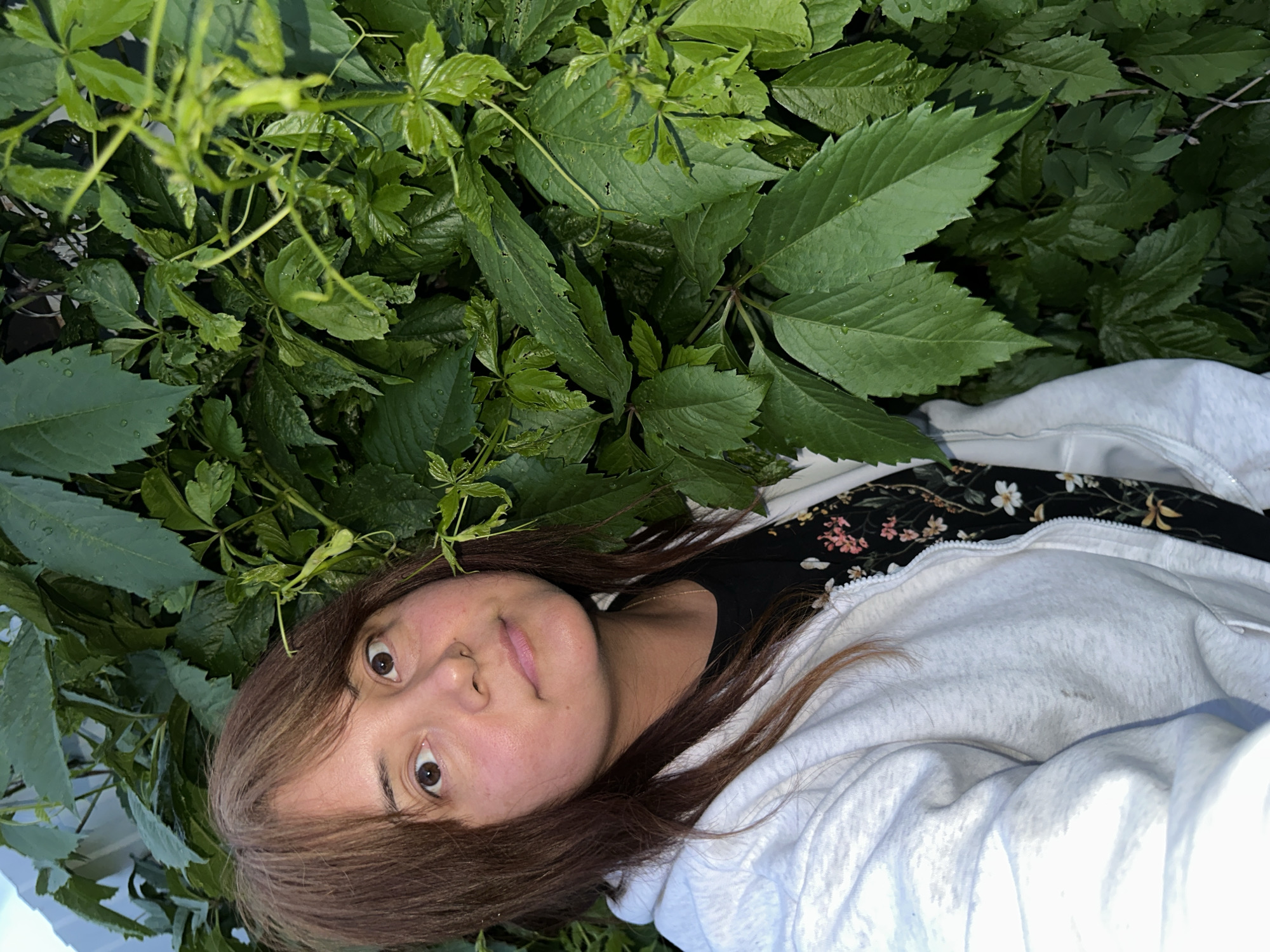 A woman with shoulder-length brown hair and light skin is positioned in the lower left quadrant of the frame, looking slightly to her right. She is wearing a white zippered hoodie over a black t-shirt with a floral pattern. Her expression is neutral, with her eyes open and looking towards the camera. Lush green foliage, appearing to be ivy, fills the background and surrounds the woman. The leaves are a deep green and appear wet, with small water droplets visible on their surfaces. The lighting suggests it is either early morning or late evening, with soft light illuminating the woman's face and the foreground leaves, while the background foliage is darker. The scene is set outdoors, in what appears to be a garden or a natural setting within a city.