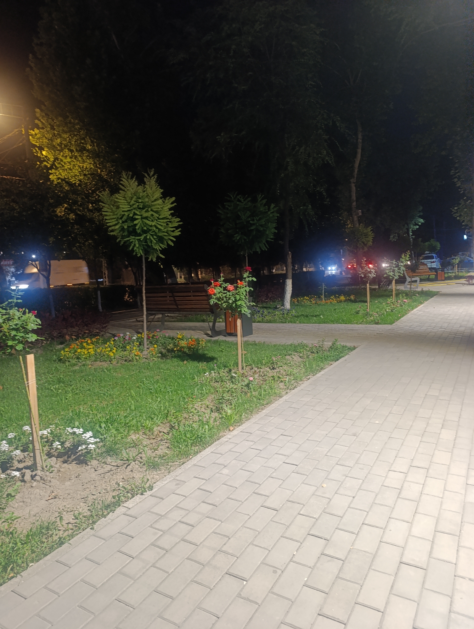 The image shows a nighttime view of a park pathway in Osh City, Kyrgyzstan. The pathway is paved with light-colored interlocking bricks and runs diagonally from the lower right to the upper left of the frame. To the left of the pathway is a grassy area with flowerbeds containing small, colorful flowers. Several trees are visible, including two ornamental trees in planters and larger trees with dark foliage. A wooden park bench is situated among the trees and flowerbeds. In the background, there are streetlights and vehicle headlights, indicating a road or busy area nearby. The scene is dimly lit, with some artificial light sources illuminating parts of the park.