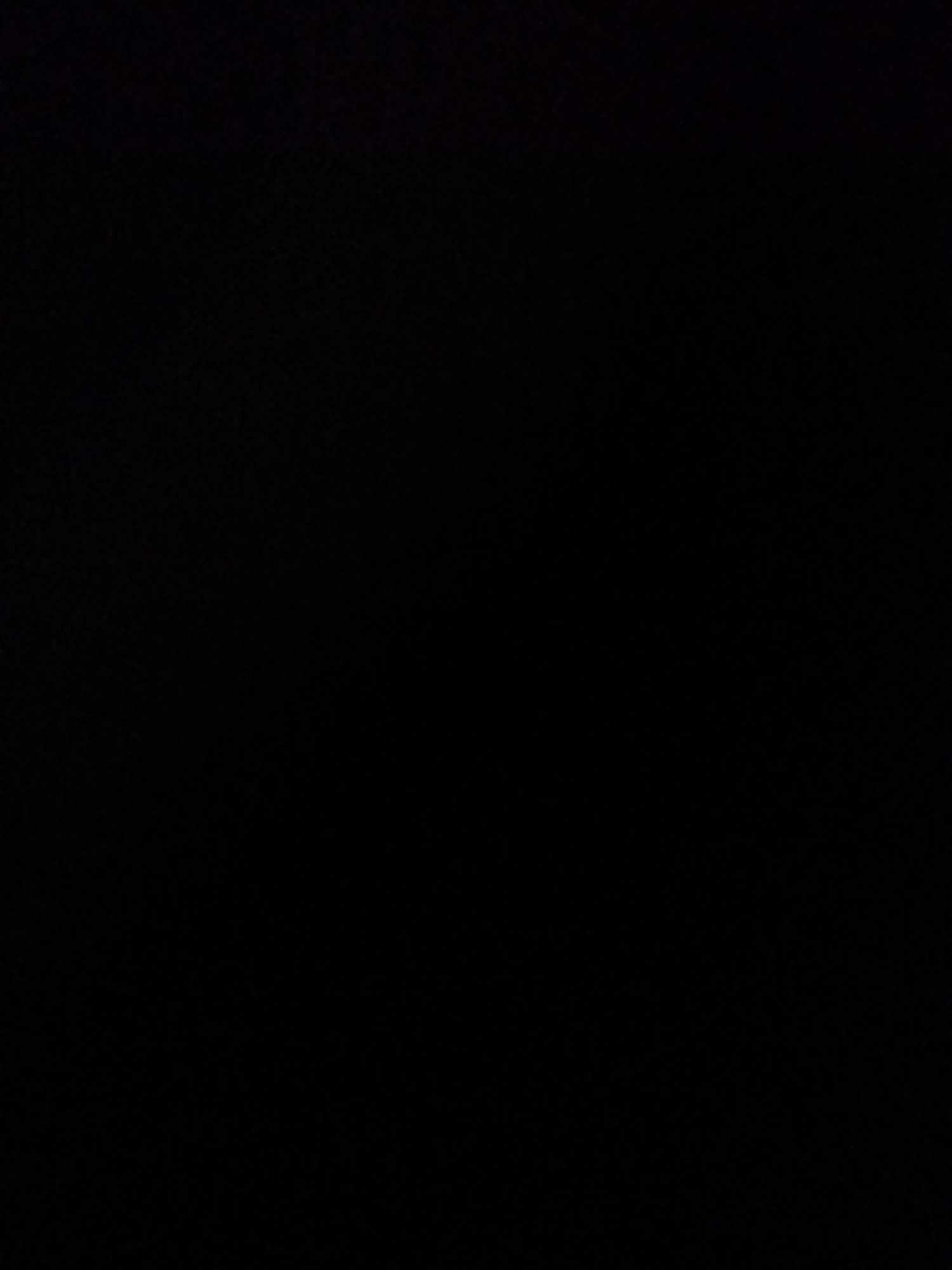 This media file is entirely black, offering no visual information about subjects, activities, notable details, or text. Therefore, it is impossible to describe any of the requested elements. The file appears to be a blank or corrupted image.