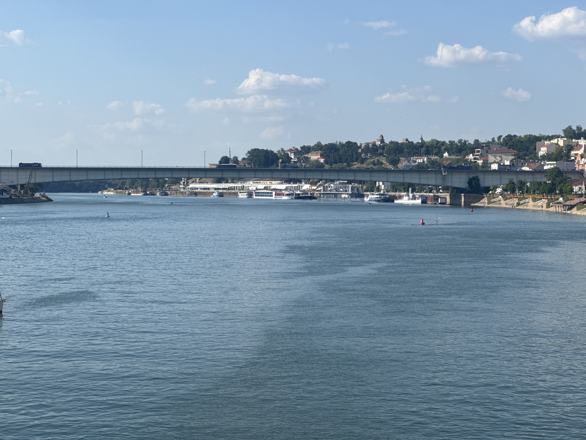 This is a wide shot of a river with a bridge spanning across it. The river occupies the foreground and midground, its surface rippled by a gentle breeze. A bridge, likely a concrete structure with metal railings, dominates the midground. A dark-colored vehicle, possibly a bus or truck, is visible on the bridge.
In the background, along the far bank of the river, is a city skyline. Buildings with red-tiled roofs are interspersed with lush green trees, creating a picturesque scene. Some of these buildings are situated on a gentle slope, giving the impression of a hillside city. Several white boats, likely passenger vessels or ferries, are docked or cruising near the far bank.
The sky is a clear blue with a few scattered white clouds, suggesting a pleasant day. The lighting indicates it is daytime, likely late morning or early afternoon. The water's color is a muted blue-grey, reflecting the sky. On the river, a small red and white buoy or marker is visible, as well as a green buoy. The overall atmosphere is serene and tranquil. The location is identified as Belgrade, Serbia, implying the bridge is one of the city's crossings over the Sava or Danube River. There is no discernible text within the image.