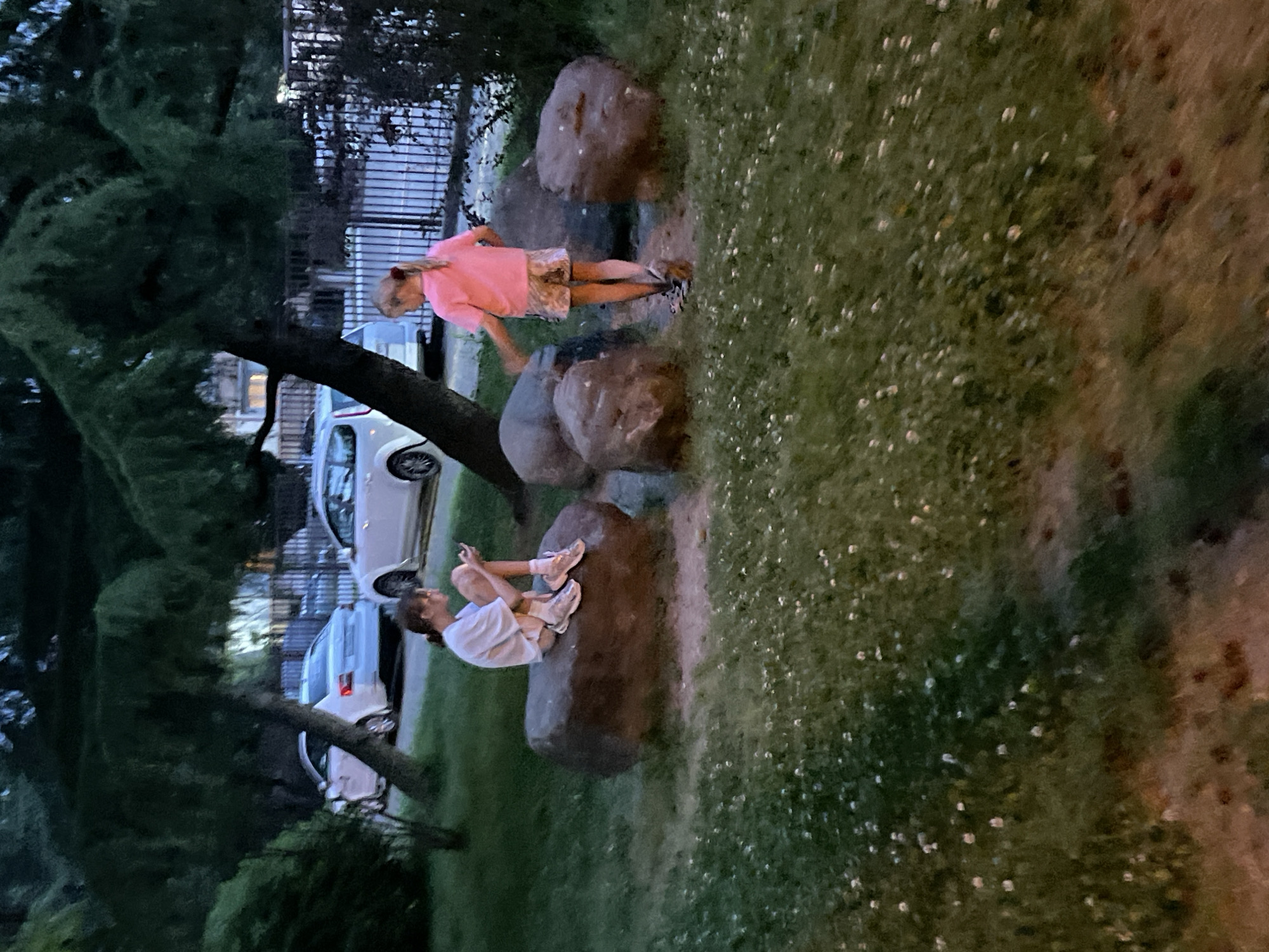 The image depicts two young girls in a park-like setting at dusk. One girl, wearing a white t-shirt and shorts, sits on a large rock, looking at her phone. The other girl, in a pink t-shirt and patterned shorts, stands near a cluster of rocks, facing away from the viewer. The ground is covered in grass with small white flowers. In the background, several white cars are parked. The setting includes mature trees and a metal fence. The overall scene suggests a suburban or residential area. The provided information about Sochi, Russia, does not appear to be supported by visual evidence within the image itself.