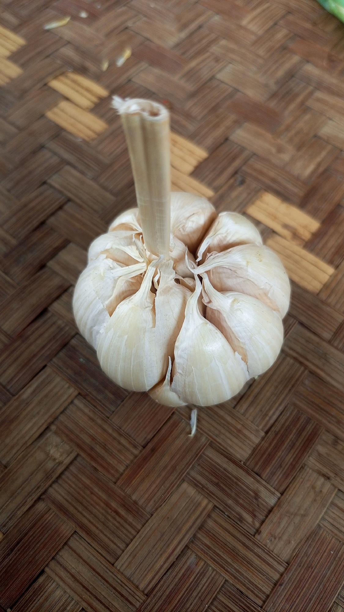 A close-up, high-angle shot captures a bulb of garlic resting on a woven bamboo mat. The garlic bulb is off-white with a dry, papery skin, and a light brown stem extends upwards from its center. The bamboo mat displays a herringbone pattern of natural brown and lighter wood tones. The scene appears to be indoors, possibly in a kitchen or dining area in Mangliawan, Indonesia, given the materials and common use of such mats in the region. There are no people or actions depicted in the image.
