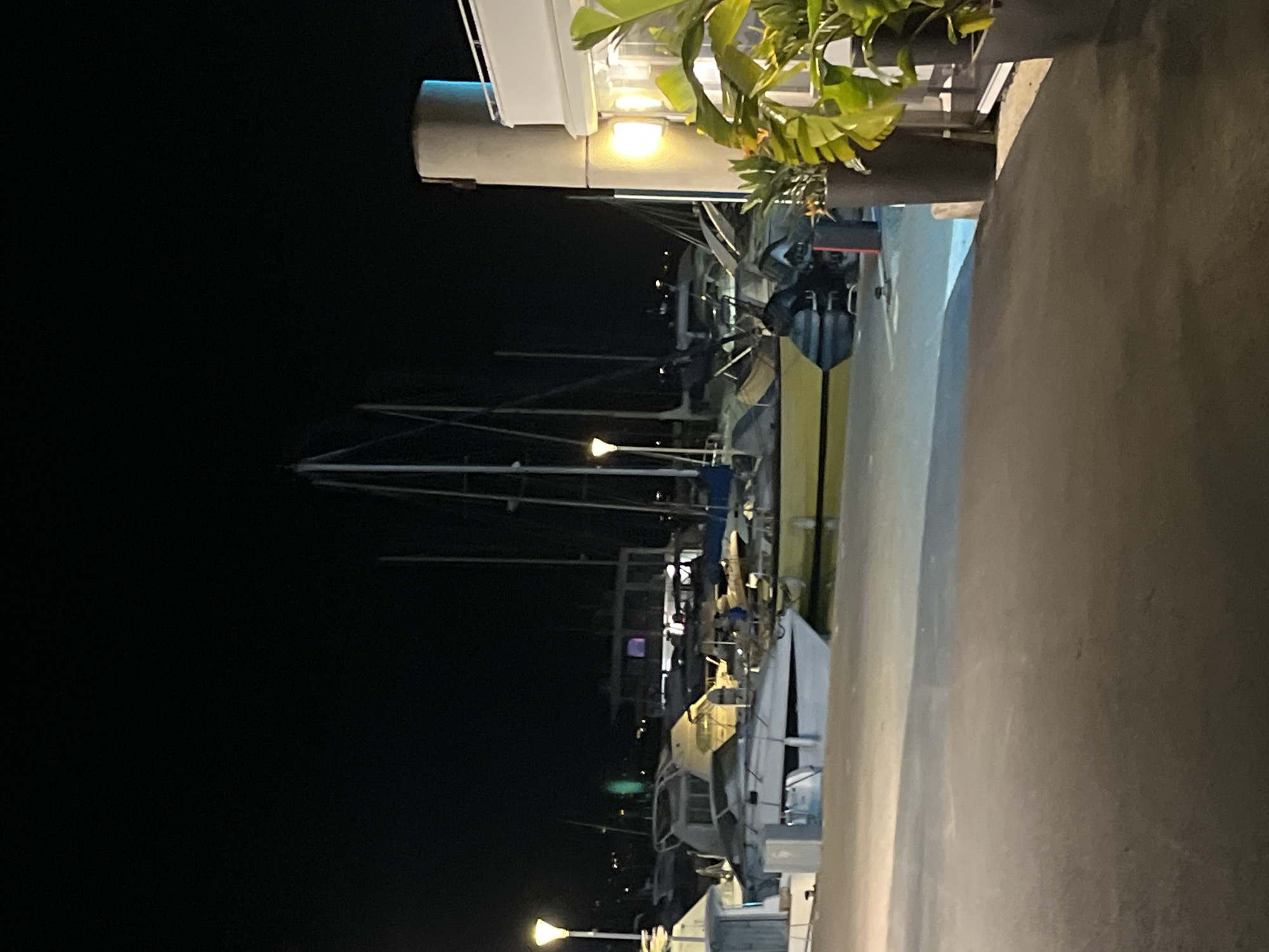 At night in Cavalaire-sur-Mer, France, a marina is filled with boats. The masts of the sailboats reach toward the dark sky. Streetlights illuminate the scene, reflecting off the water. A sidewalk runs along the edge of the marina, with plants in the foreground.