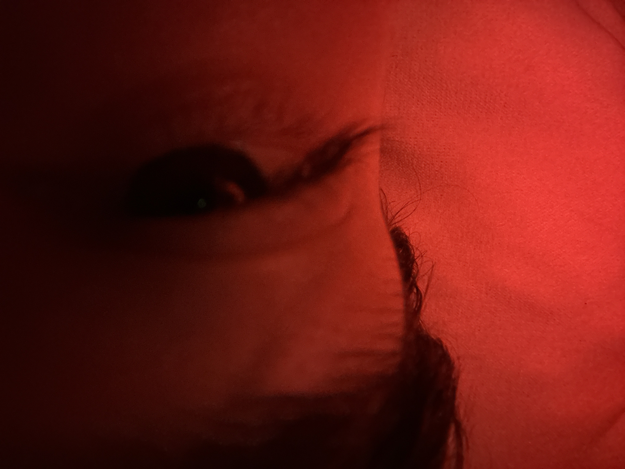 This is an extremely close-up, abstract shot focusing on the partially open eye of what appears to be a baby or young child. The entire image is bathed in a strong, monochromatic red light, creating deep shadows and highlighting the texture of the skin.
The subject is a human eye, seen in profile or a three-quarter view from the side, with the iris and pupil appearing very dark, almost black, save for a distinct small, bright green reflection within the pupil. This green glint stands out against the red and dark tones. Fine eyelashes are visible along the eyelid. The skin surrounding the eye is soft, showing faint wrinkles and folds, indicative of delicate, possibly young, skin. There are also fine, dark hairs or stray eyelashes visible on the right side of the image, close to what might be the edge of the face or a fold in the skin/fabric.
The setting is unclear due to the extreme close-up and abstract nature of the shot, but the consistent red lighting suggests an indoor environment illuminated by a specific light source, possibly in a dimly lit room. There is no discernible activity taking place other than the static pose captured in the photograph. The intense red color dominates the scene, giving it a dramatic and somewhat mysterious ambiance. There are no notable location cues, visible text, or clear indications of time of day or weather. The emotional state of the subject is not discernible from this partial view.
