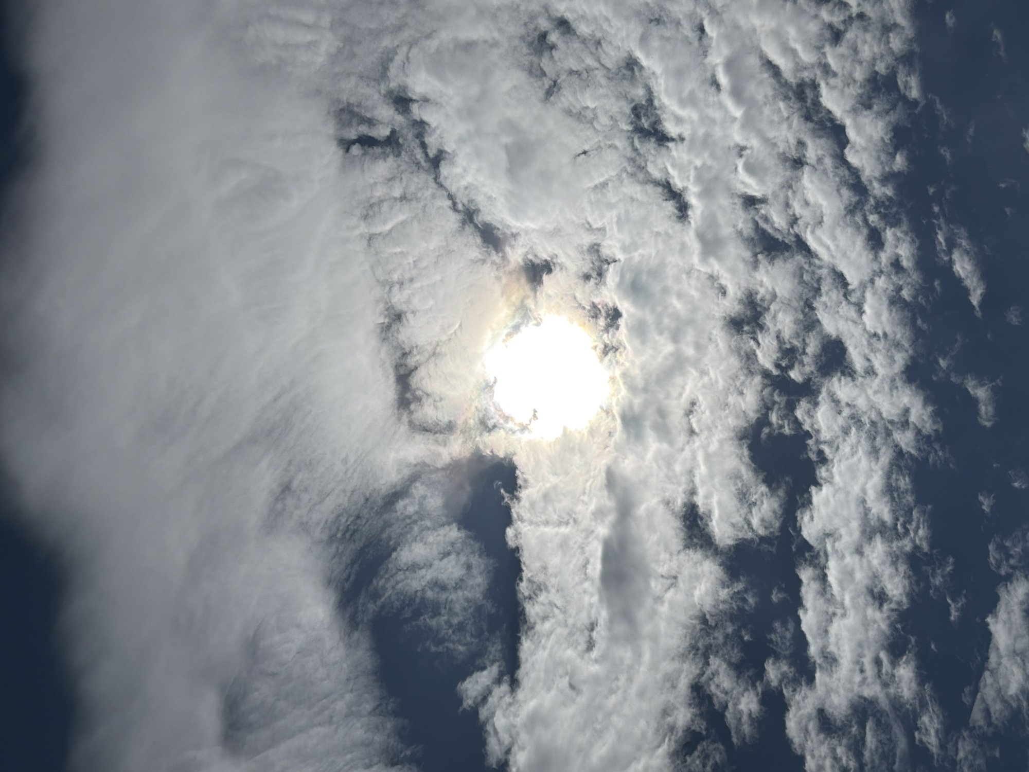 The image displays a high-angle vertical perspective of a daytime sky dominated by a variety of cloud formations. The sun is prominently featured in the upper-right-middle portion of the frame, appearing as an intensely bright, overexposed white disc partially obscured by clouds, with a discernible lens flare and subtle chromatic aberration visible at its edges. The sky, where visible through cloud breaks, is a deep, clear blue.
In the upper section of the image, the clouds are more attenuated, appearing as wispy, streaky, and elongated formations, possibly cirrus or cirrostratus, suggesting high-altitude winds. Below these, and extending across the mid-to-lower frame, are denser, more varied cumulus-type clouds. These clouds exhibit distinct contours, varying shades of white and gray, and visible shadows, indicating their three-dimensional structure and depth. Clusters of smaller, puffier clouds are particularly concentrated in the bottom third of the image.
The overall lighting suggests direct sunlight during the middle of the day. There are no discernible ground features, man-made structures, vegetation, people, or other objects within the frame that would provide contextual clues for a specific geographic location, such as the city of Chaikovsky, Russia. The scene is solely composed of atmospheric elements.
