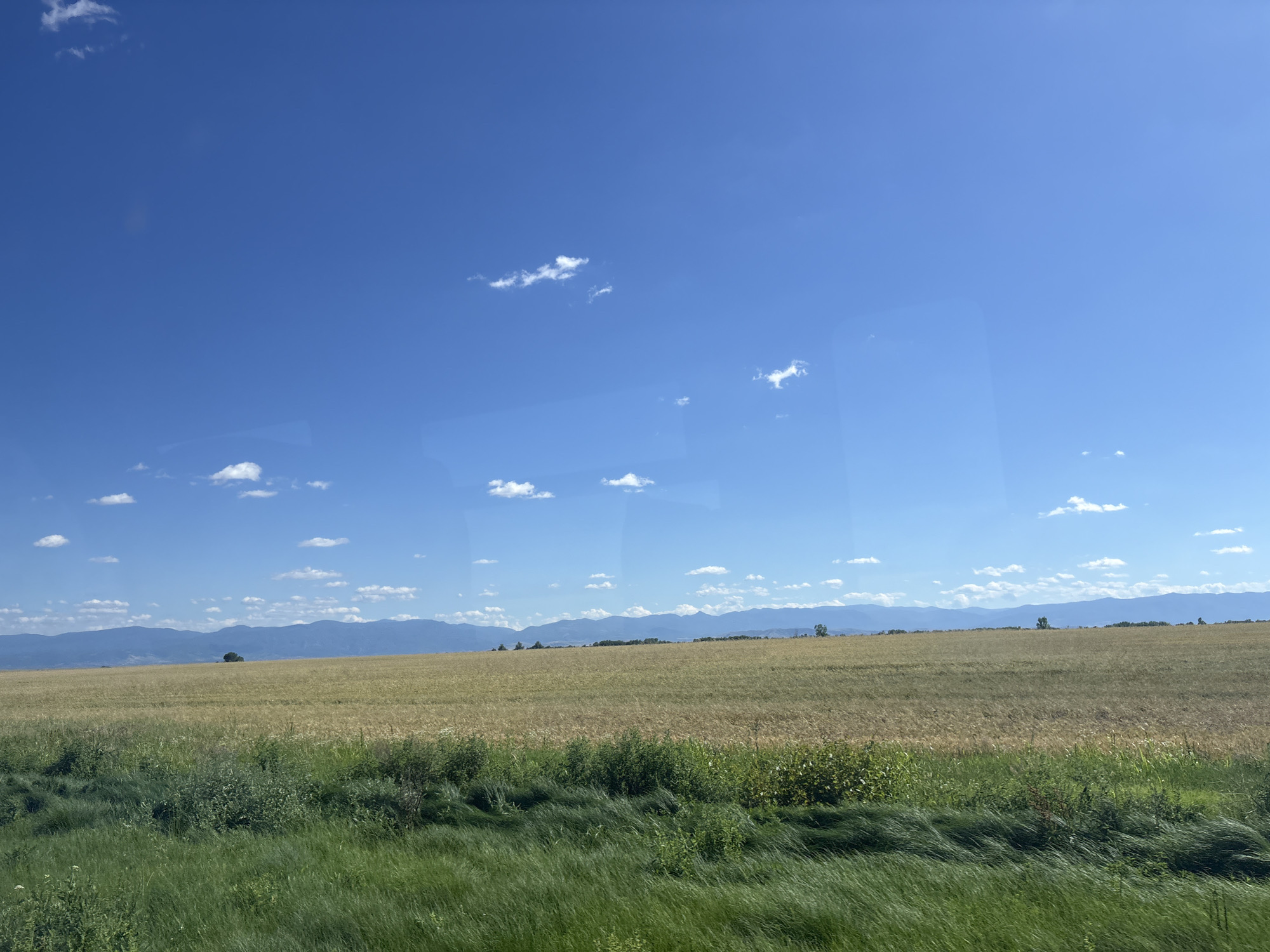 A wide, horizontal, eye-level outdoor shot captures a rural landscape under a bright blue sky dotted with scattered white clouds. In the foreground, tall, green grass sways with a wind-blown effect. Behind the grass is a field of golden, dry crops, possibly wheat, that extends to the horizon. A solitary dark green tree stands in the middle ground, breaking the monotony of the field. In the background, a range of blue-tinted mountains forms a distant backdrop. The scene appears to be taken from a moving vehicle, as suggested by a faint vertical reflection or streak on the right side of the image, potentially indicating a window. The overall impression is one of vastness and natural beauty under a clear, sunny sky, characteristic of the rural environs of Saedinenie, Bulgaria.