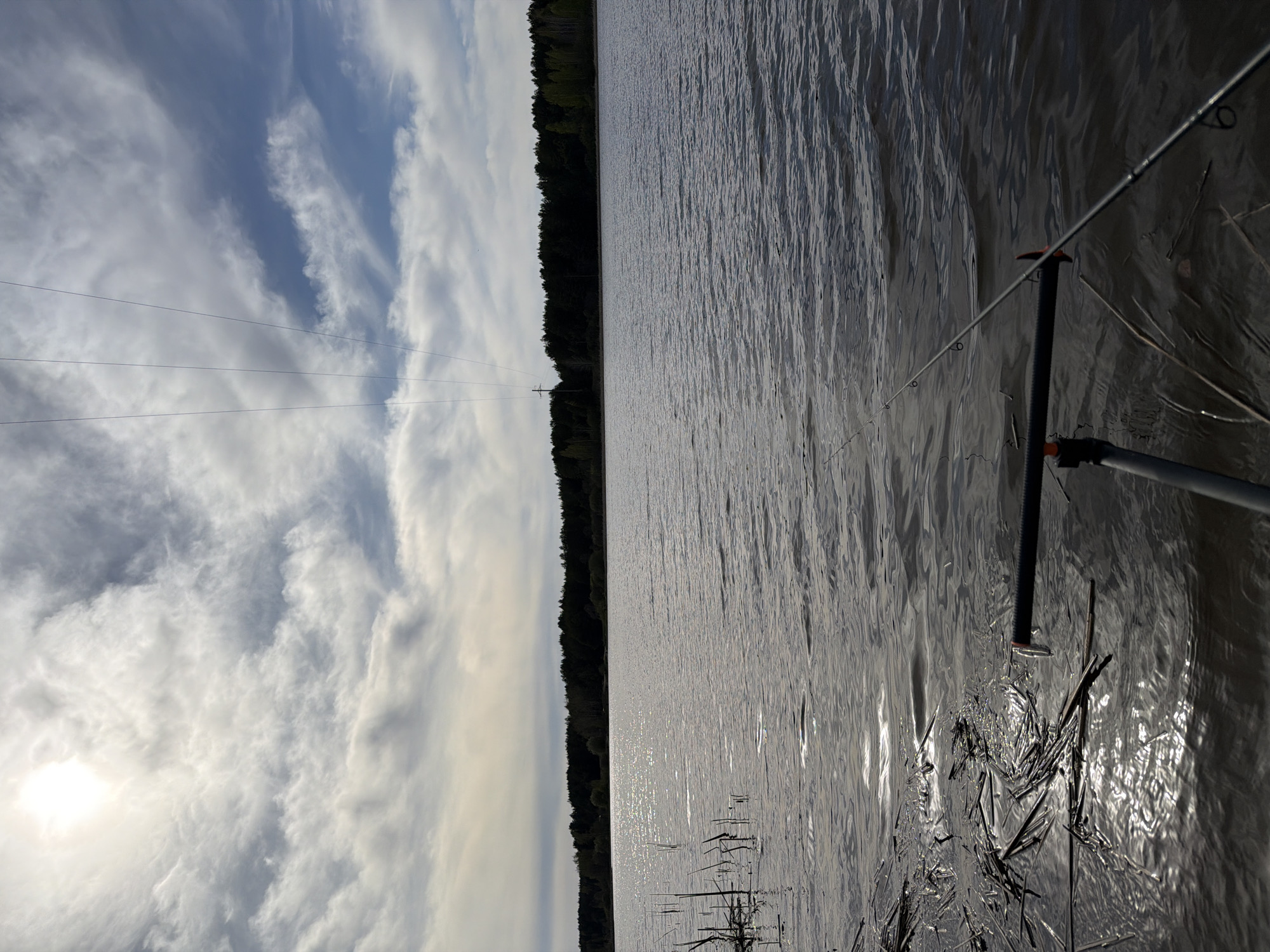 The image shows a landscape with a body of water, likely a lake or river, taking up a significant portion of the frame. A dense line of trees is visible in the background, separating the water from the sky. The sky is filled with clouds, and electrical lines are present. In the foreground, a fishing rod is visible, set up on a rod rest. Debris, likely reeds or plant matter, is scattered near the rod. The image seems to have been taken near the water's edge. While the exact location in Chaykovsky, Russia, cannot be determined from the image alone, it is likely a spot near a body of water suitable for fishing.