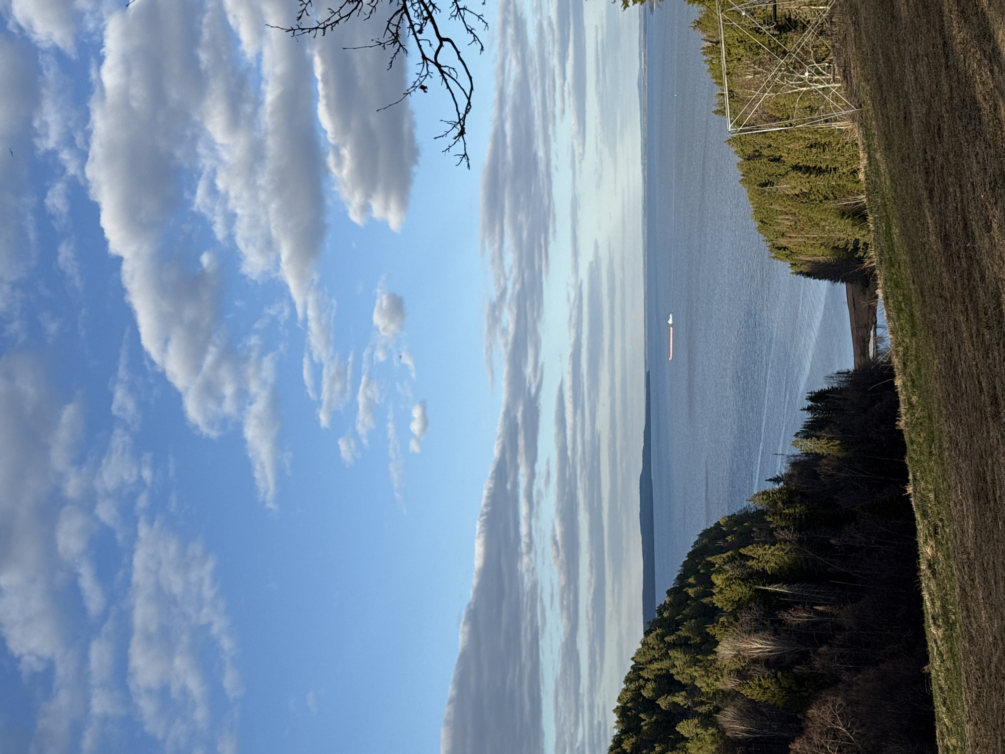 The image depicts a body of water with a ship, a cloudy sky, and land with trees and grass. The composition is vertically oriented. In the water, a ship is visible. The sky contains numerous cumulus clouds. The land exhibits both forested areas and grassy fields. An overhead electric power line structure is present. The specific location within Galevo, Russia, cannot be determined. No people are visible.