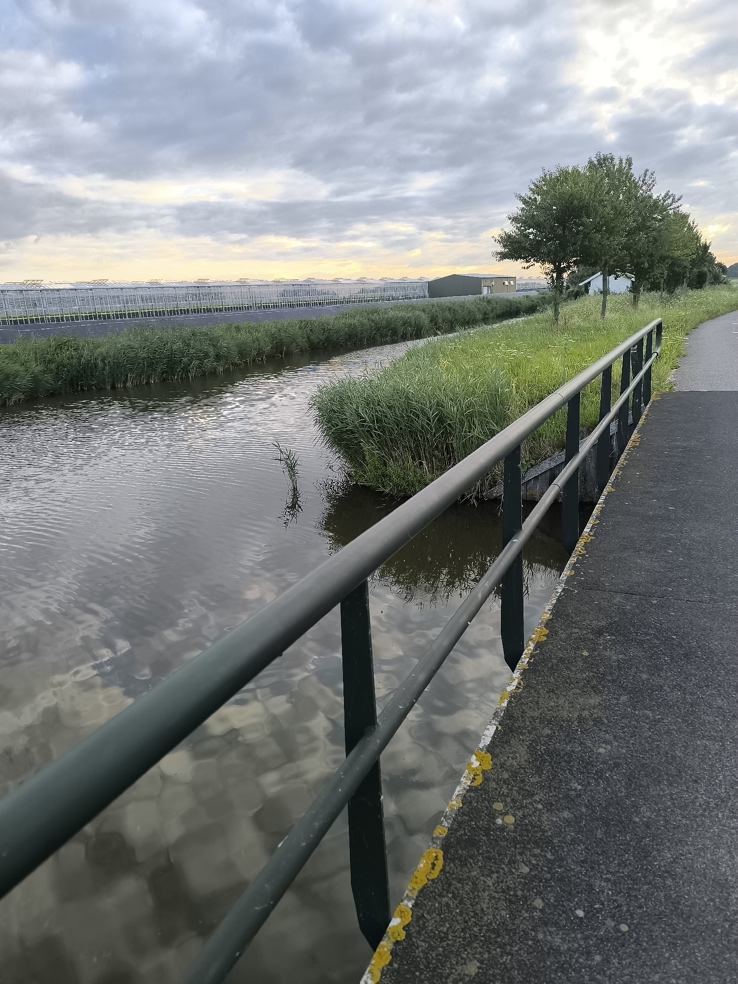This image depicts a canal with a railing in the foreground, likely taken in Andijk, Netherlands. The canal is flanked by tall green grass on the left bank and a paved path with a railing on the right bank. Across the canal, a long row of greenhouses stretches into the distance, characteristic of the agricultural landscape in Andijk. A few trees are visible to the right of the greenhouses. The sky is overcast with some hints of sunlight breaking through, suggesting it might be early morning or late afternoon. The water in the canal reflects the sky and the surrounding vegetation. The railing in the foreground appears to be made of dark metal and shows some signs of weathering, with yellow lichen growing on the concrete edge it borders. The scene is quiet and peaceful, capturing a typical rural or semi-rural setting in the Netherlands.